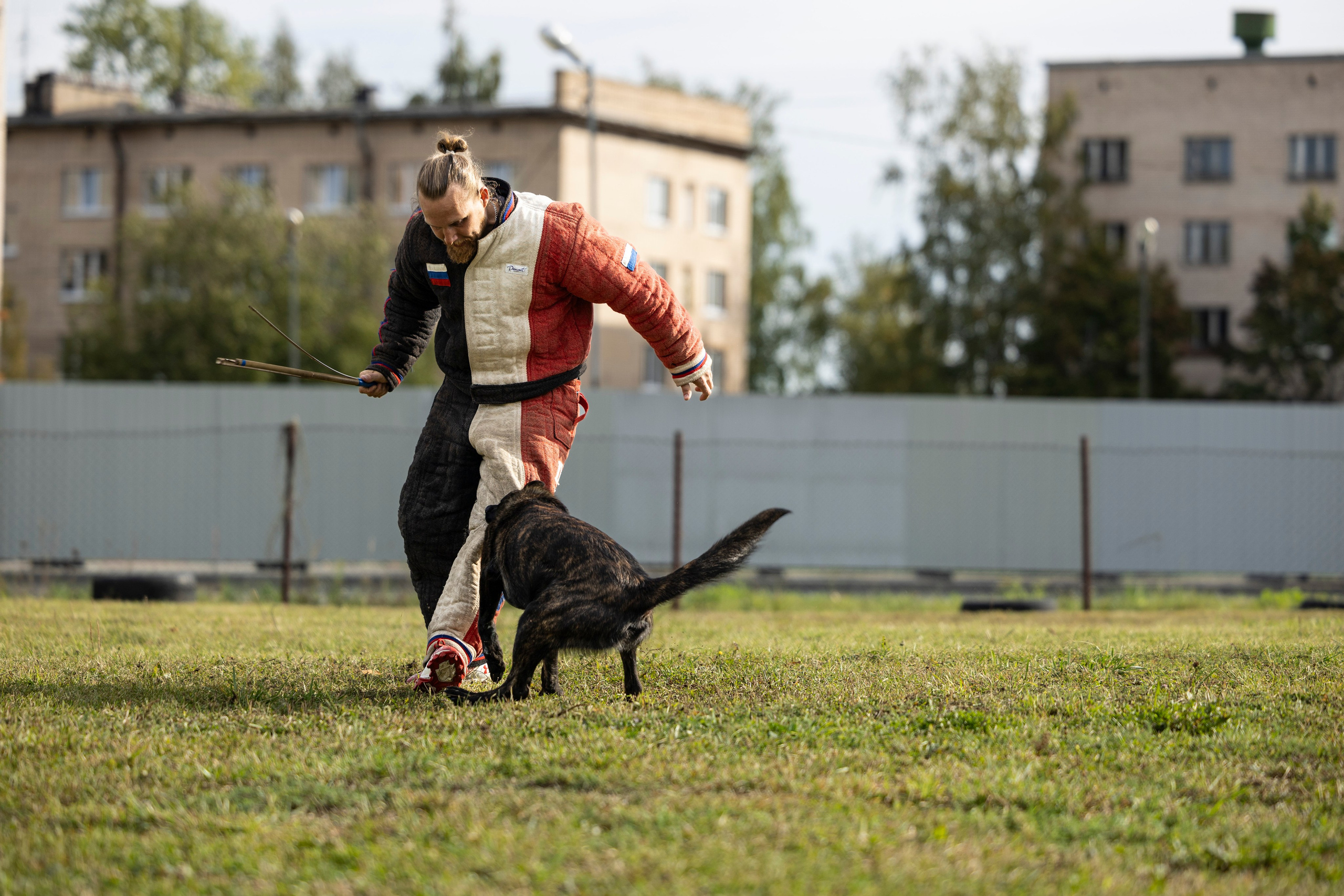Испытания по Мондьорингу г. Пушкин. Фотограф-анималист Анна Маринич