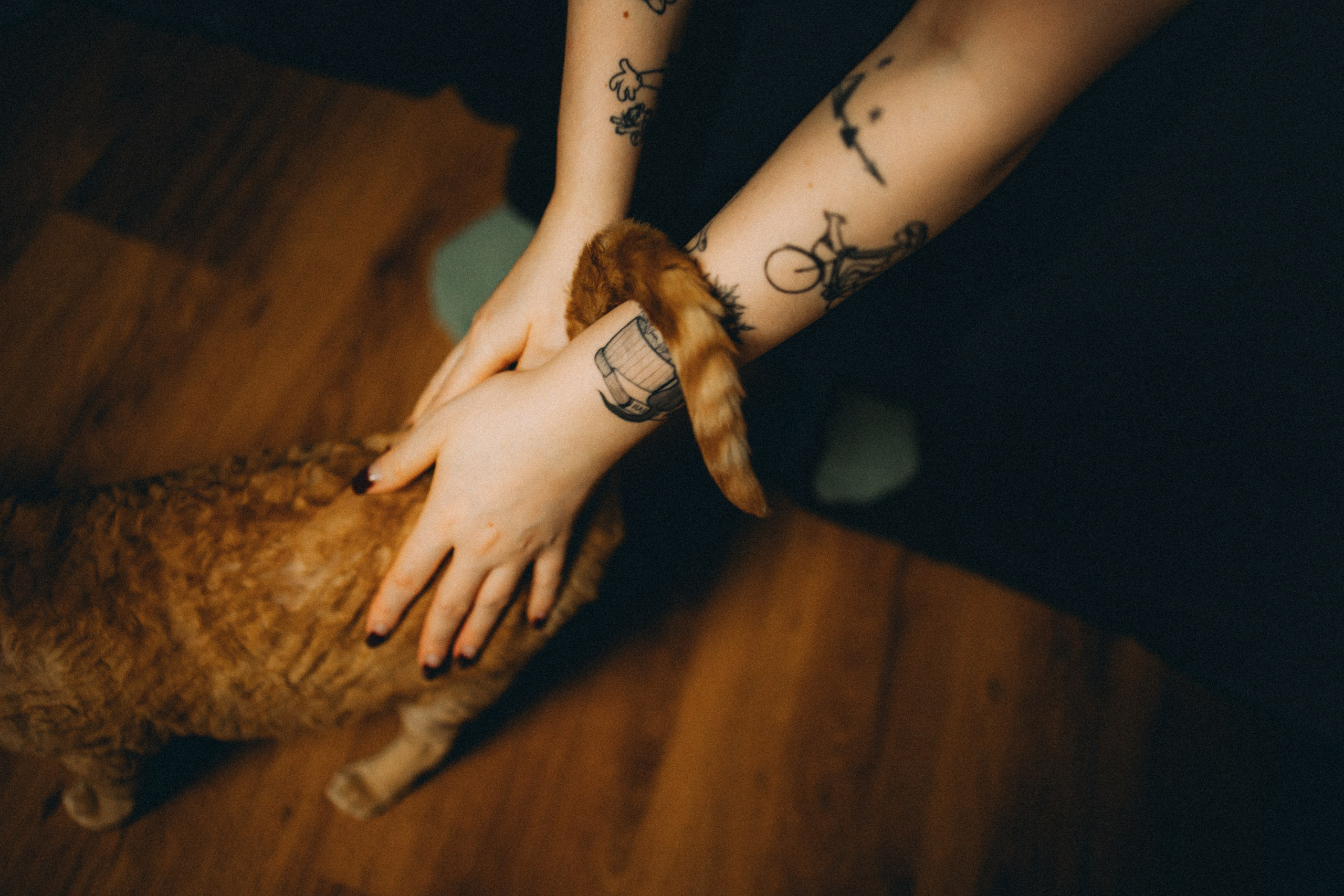 Гречка, Ковш и их семья