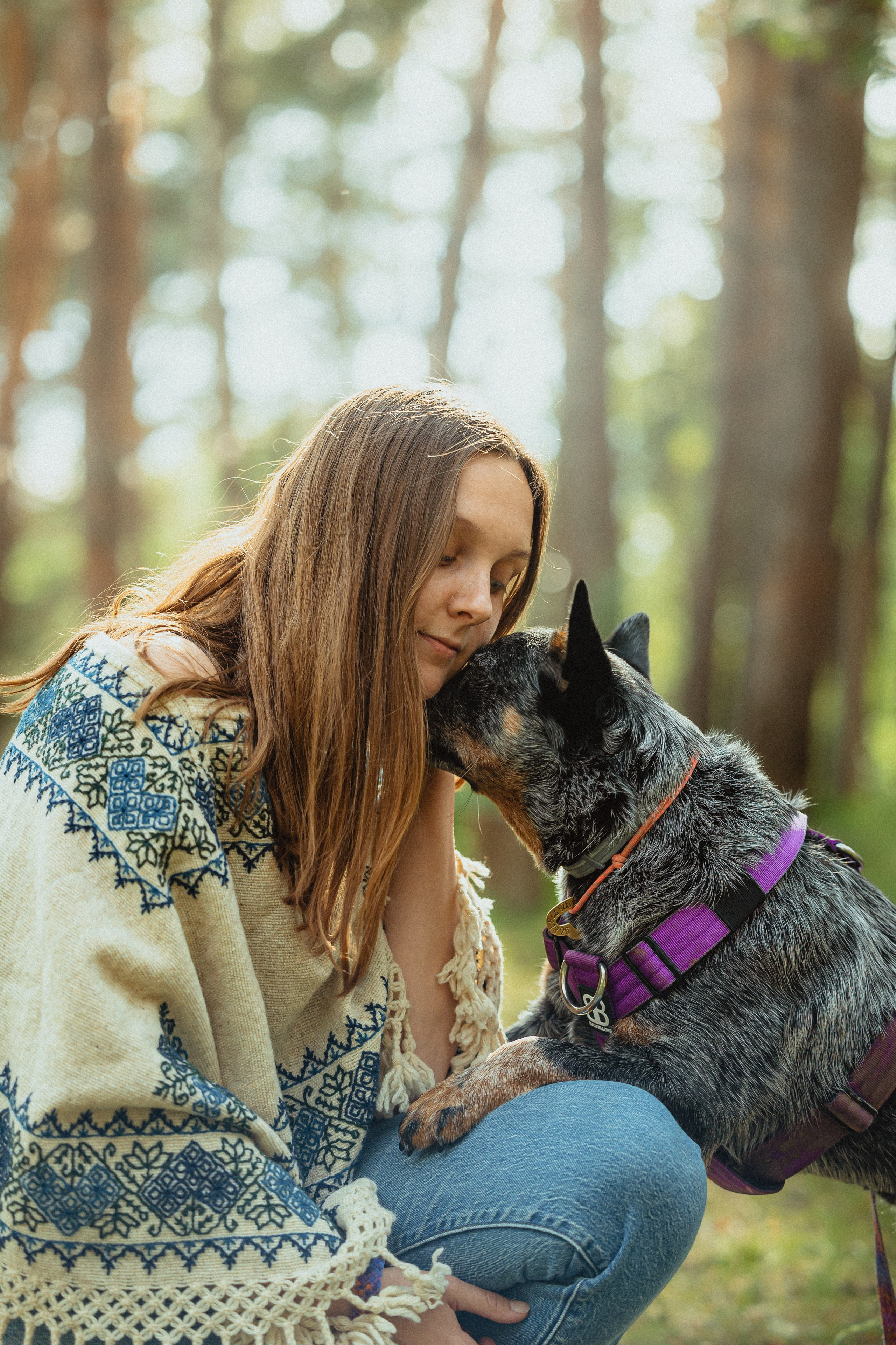 Выездной дог-тренинг от школы «Шерсть имею»