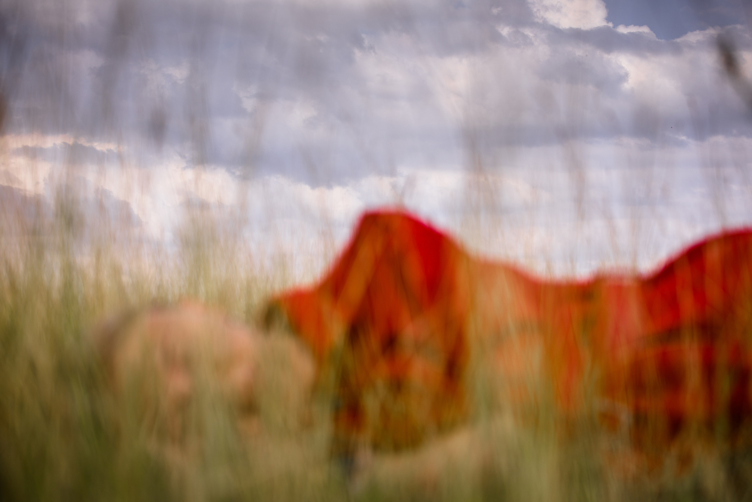 — портрет. Фотограф Кочкаев Роман