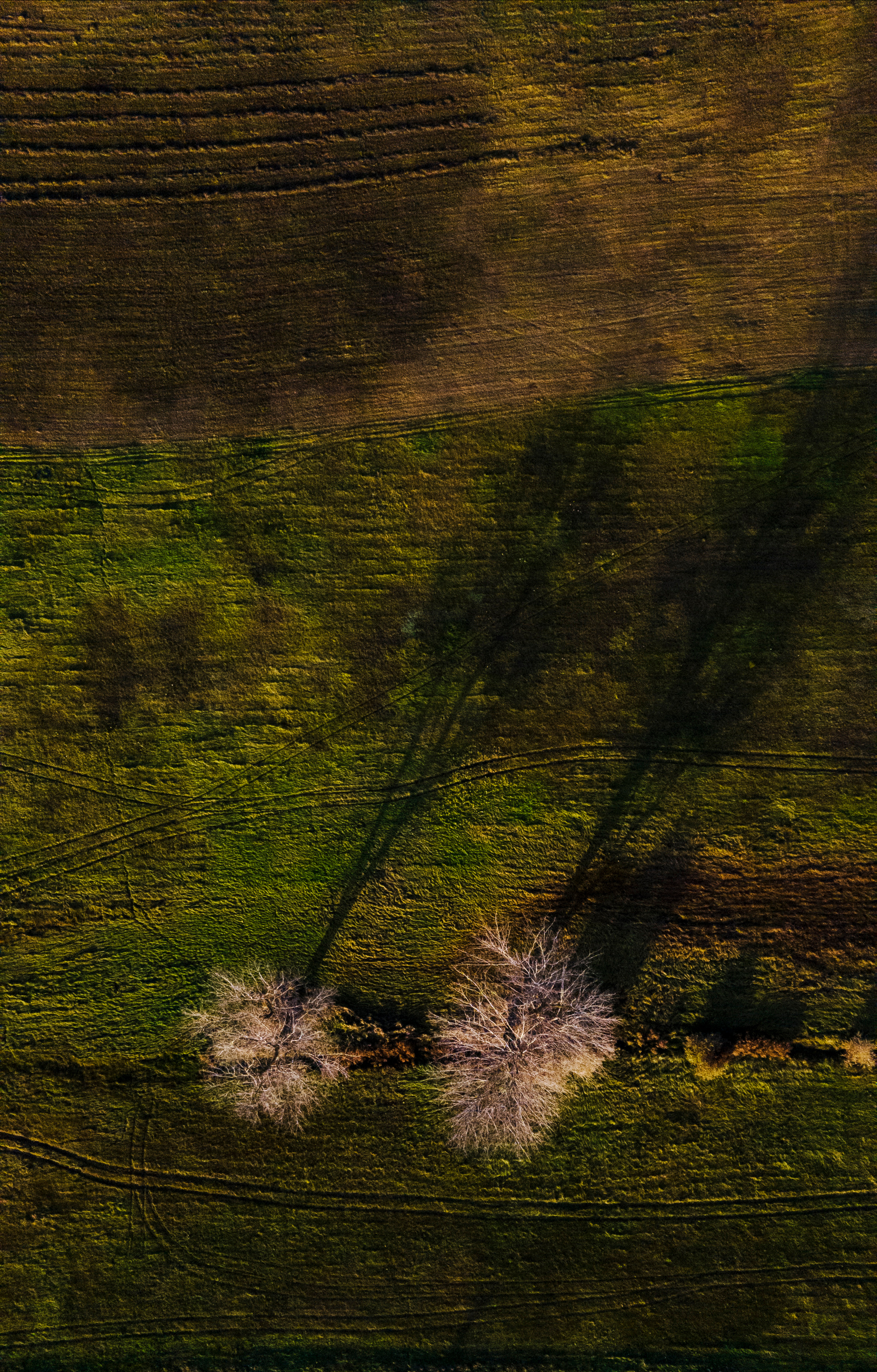 — посозерцать. Фотограф Кочкаев Роман