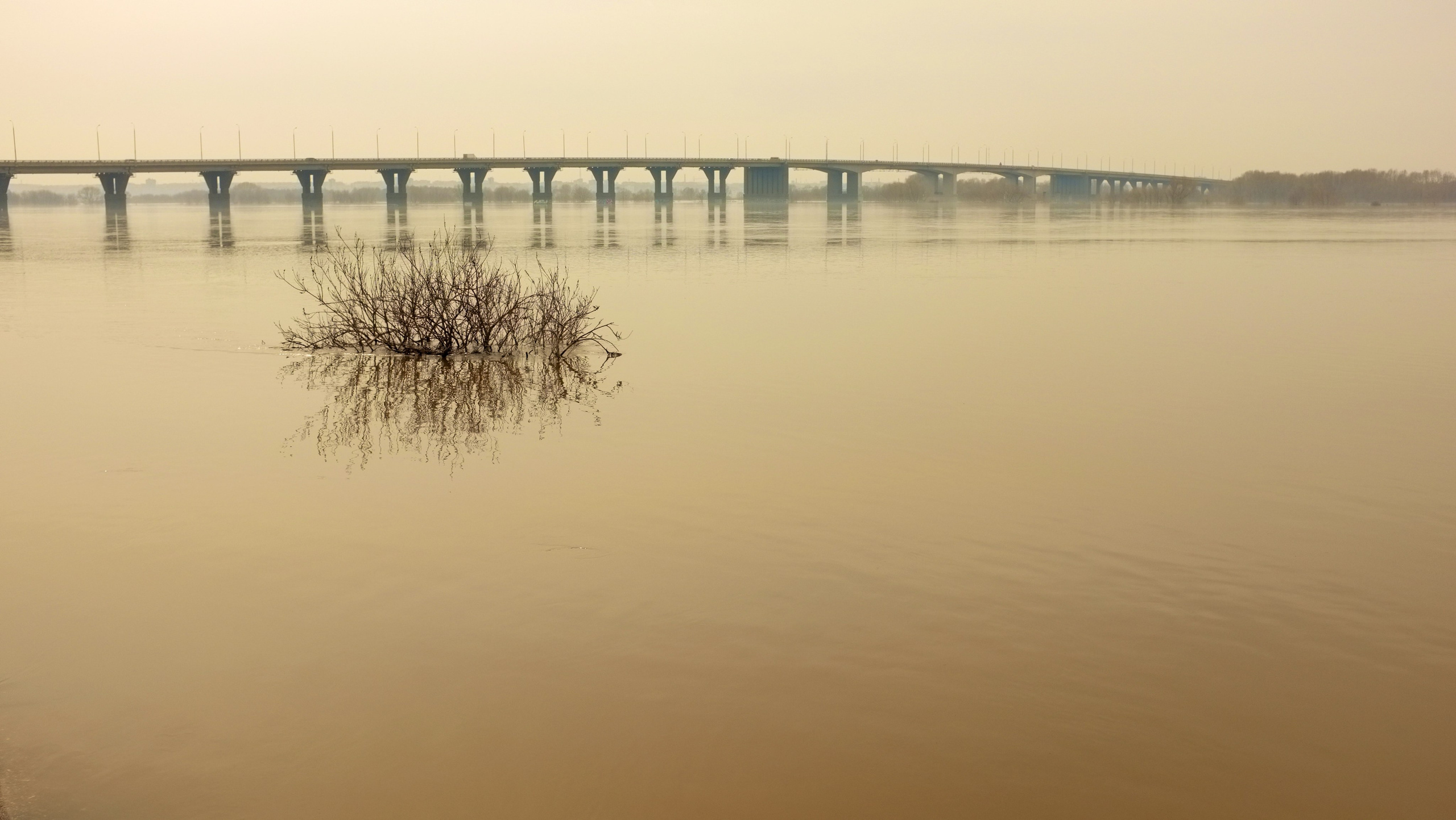 Авторская фотография фотографа Бориса Флорина
