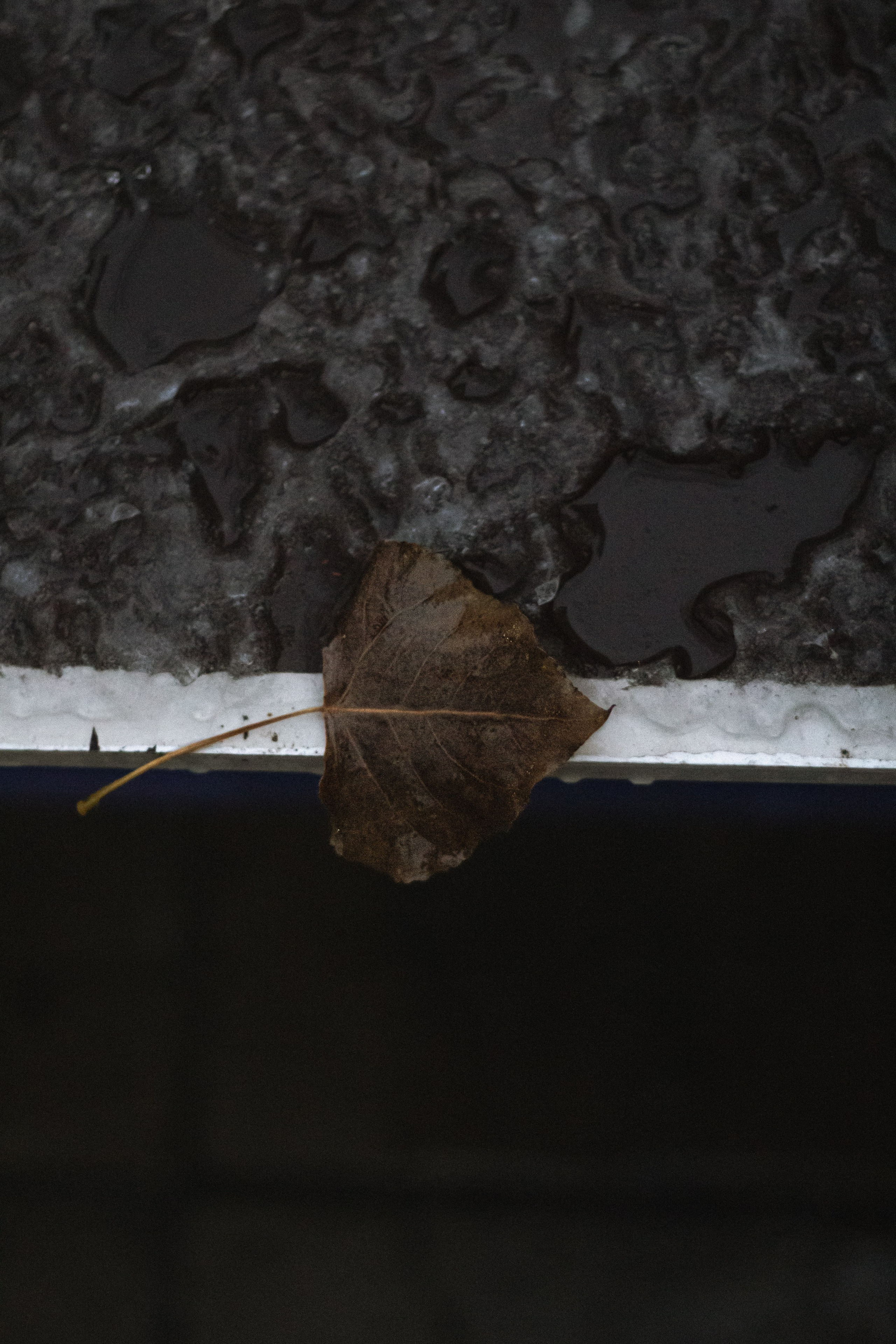 Осень-зима. Фотограф Москва, портрет, стрит, репортаж. Художественная фотосессия