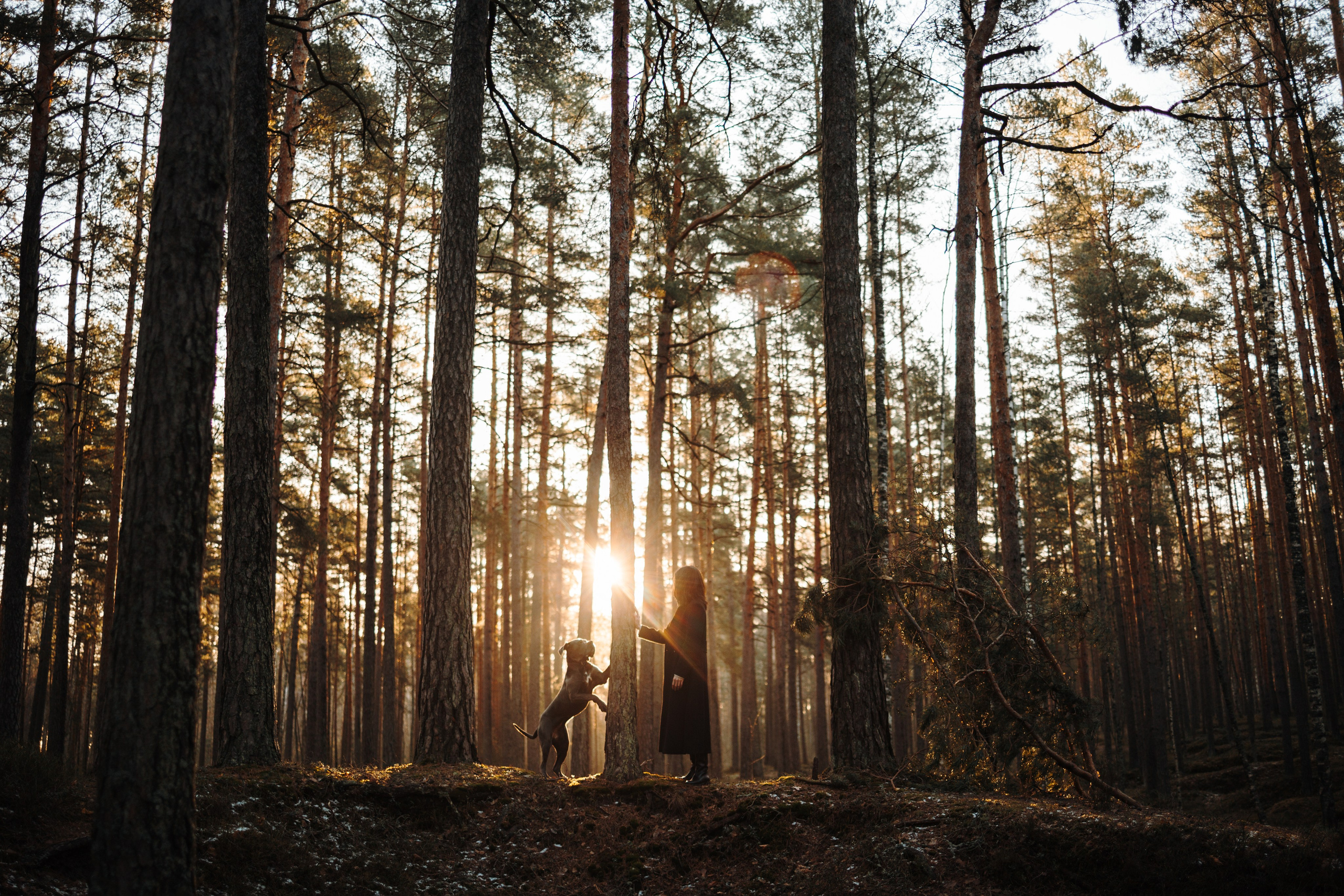 Анна и Лана. Фотограф — Анималист | Санкт-Петербург