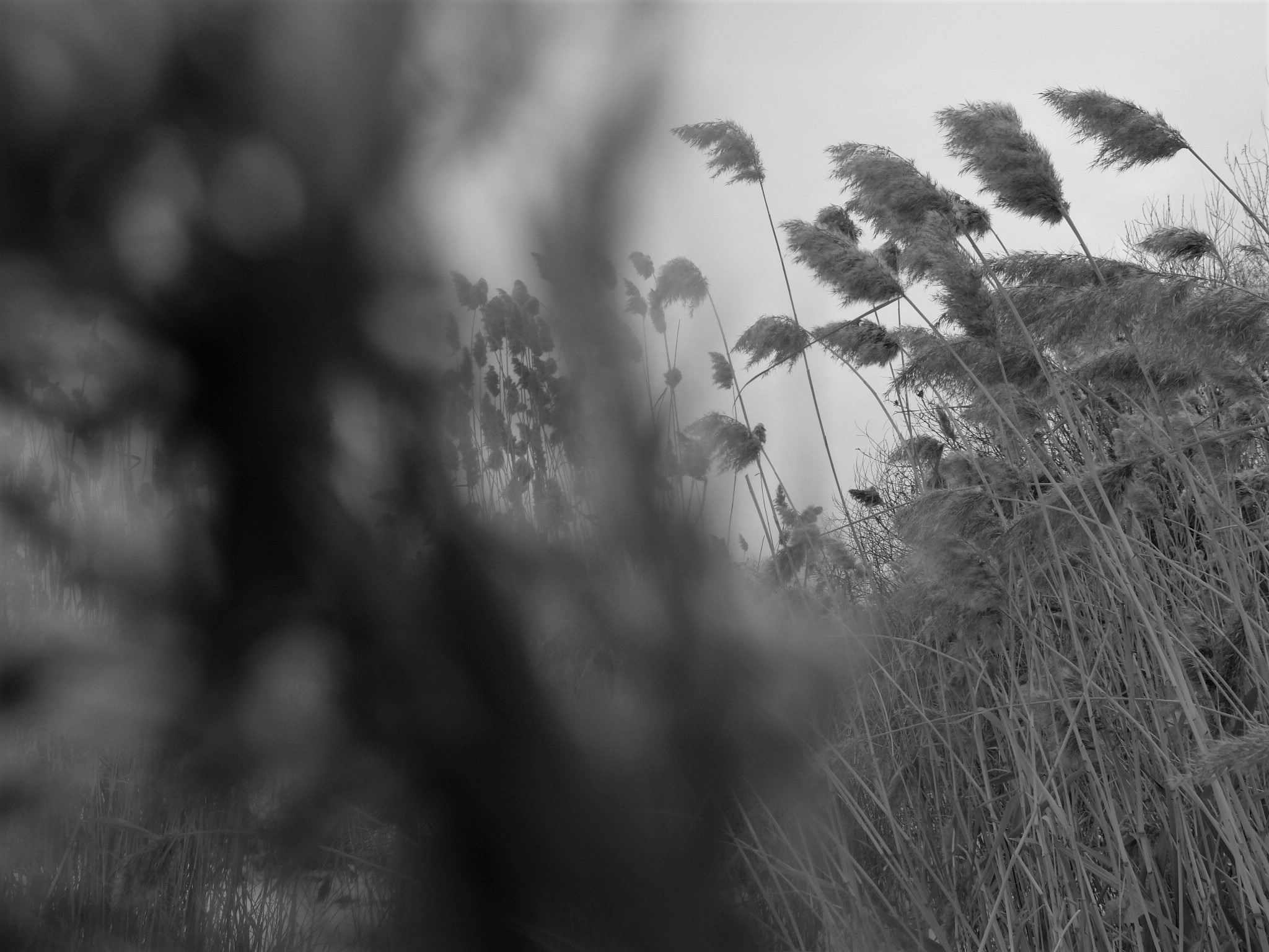 Внутривенные сны (2018-2023)