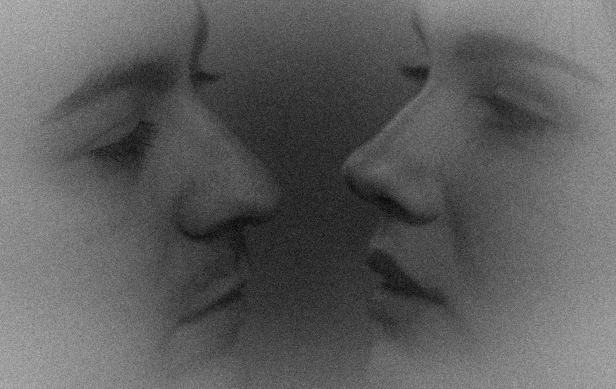 Дмитрий и Ирина. Фотограф в Москве Ольга Елоева