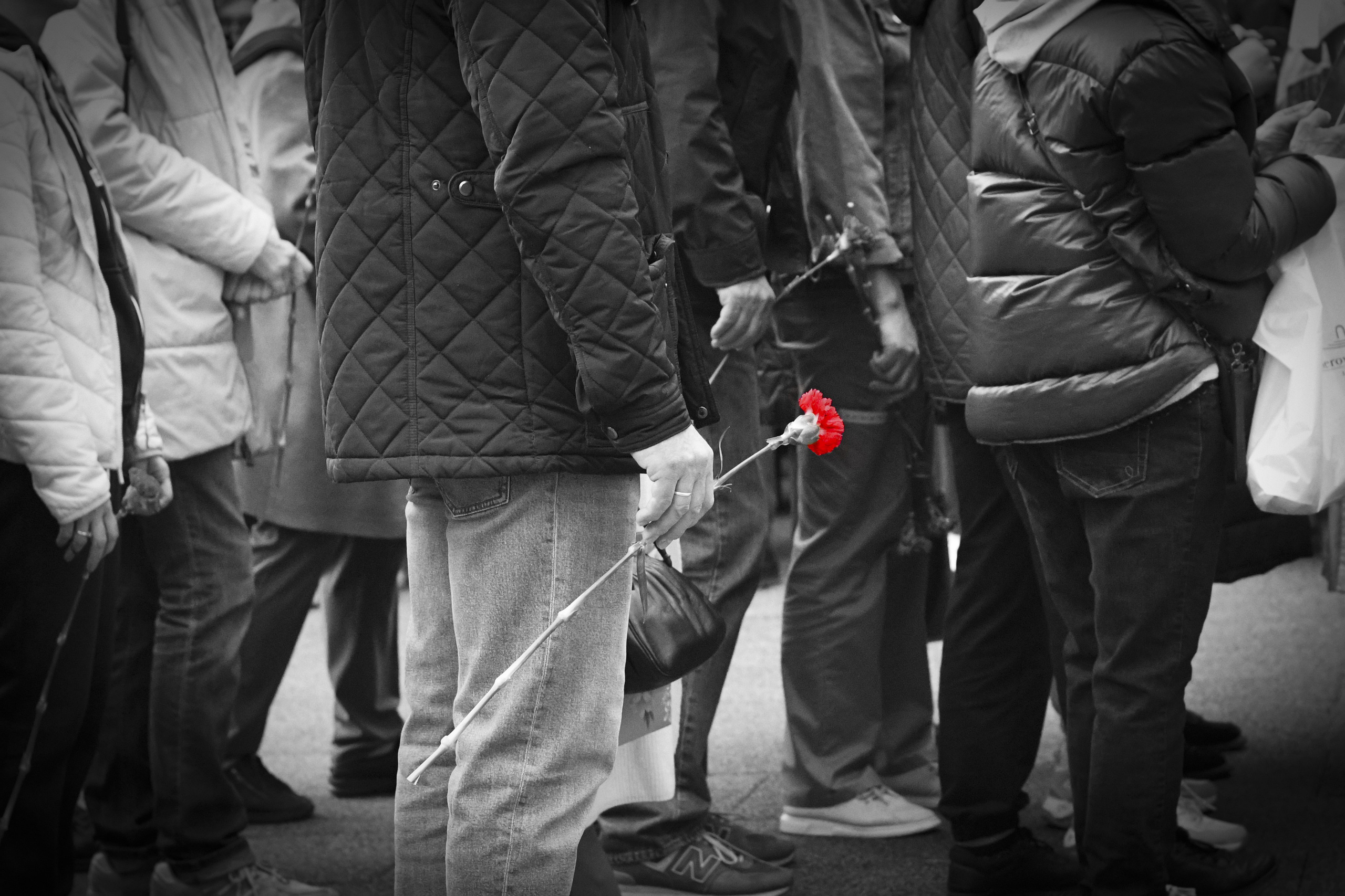 Репортажная фотосъёмка. АЛИНА СНИМАЕТ