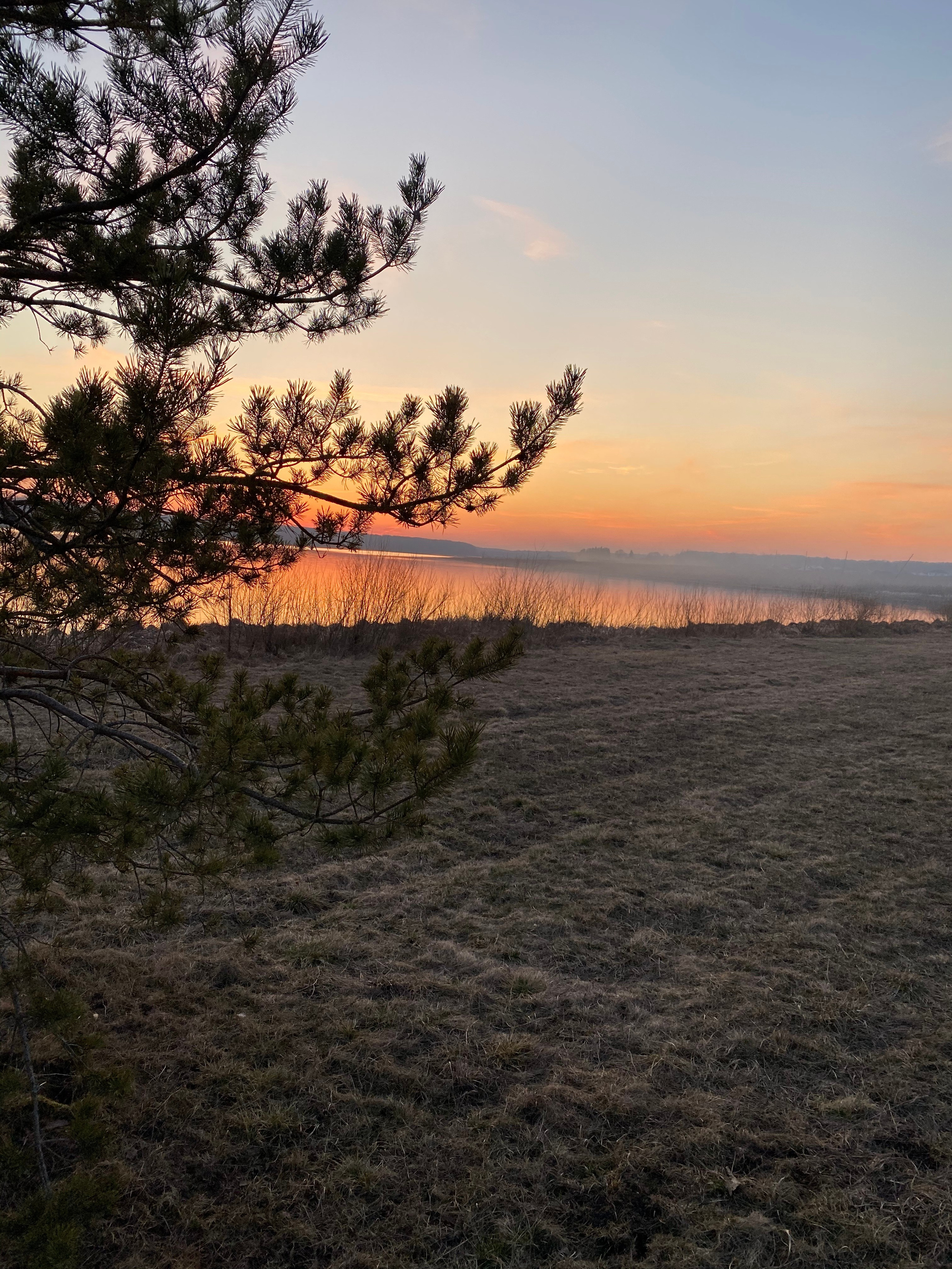 Осетрово — 20. Своя Мастерская