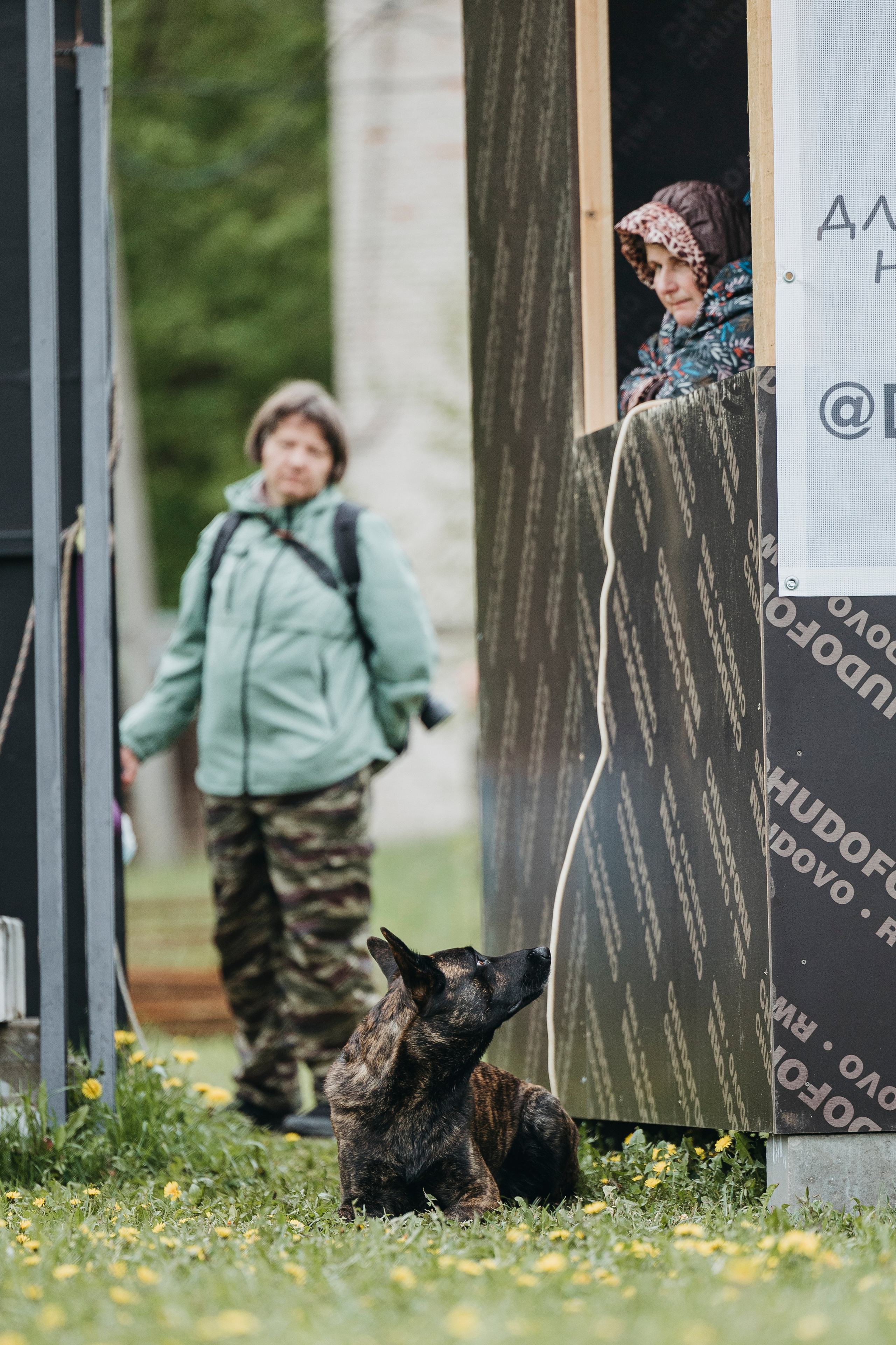 26.05.25 г. Пушкин квалификационные соревнования. Фотограф-анималист Анна Маринич