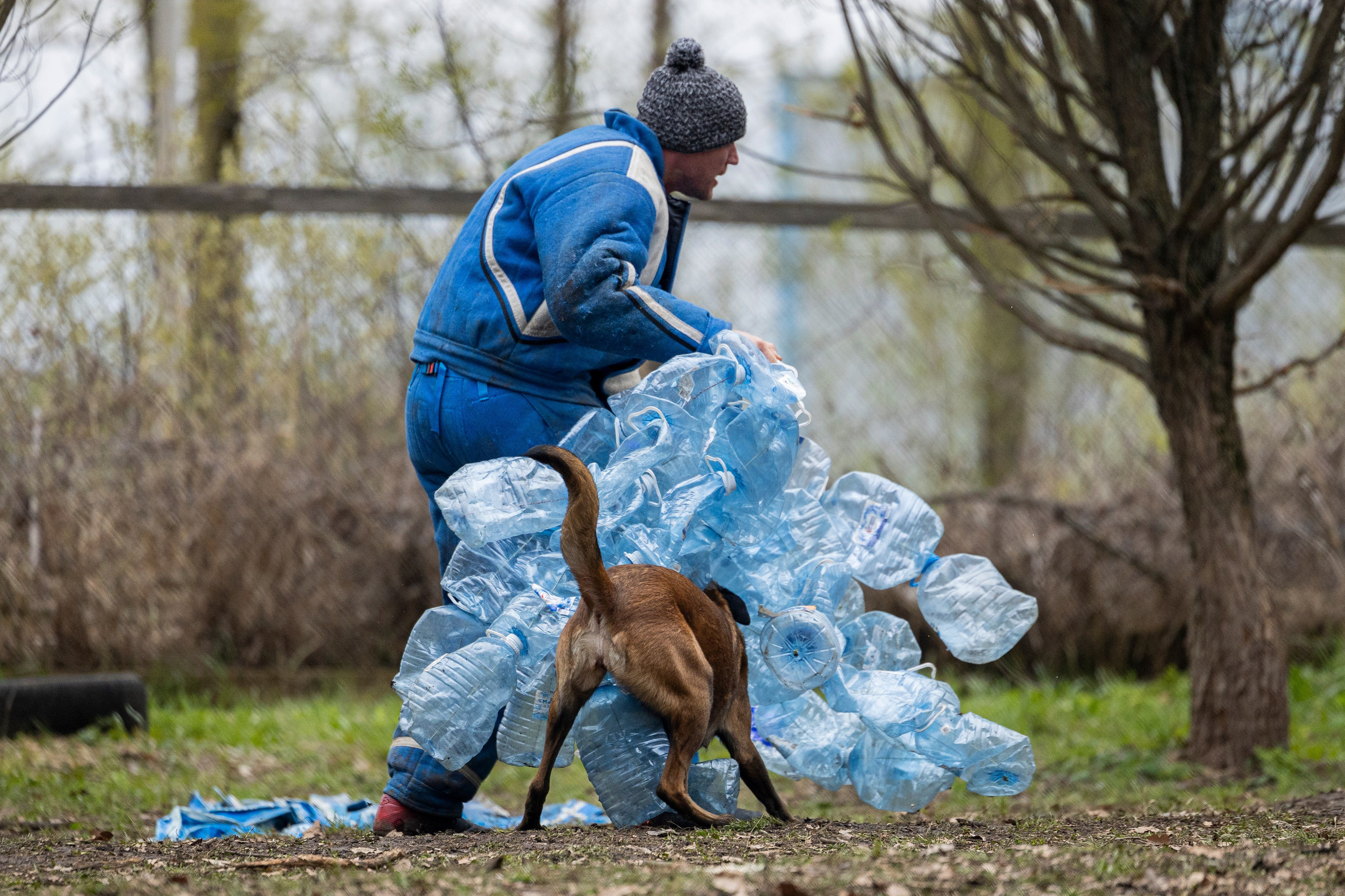 Квалификационные состязания по мондьорингу г. Вологда 11.05.24. Фотограф-анималист Анна Маринич