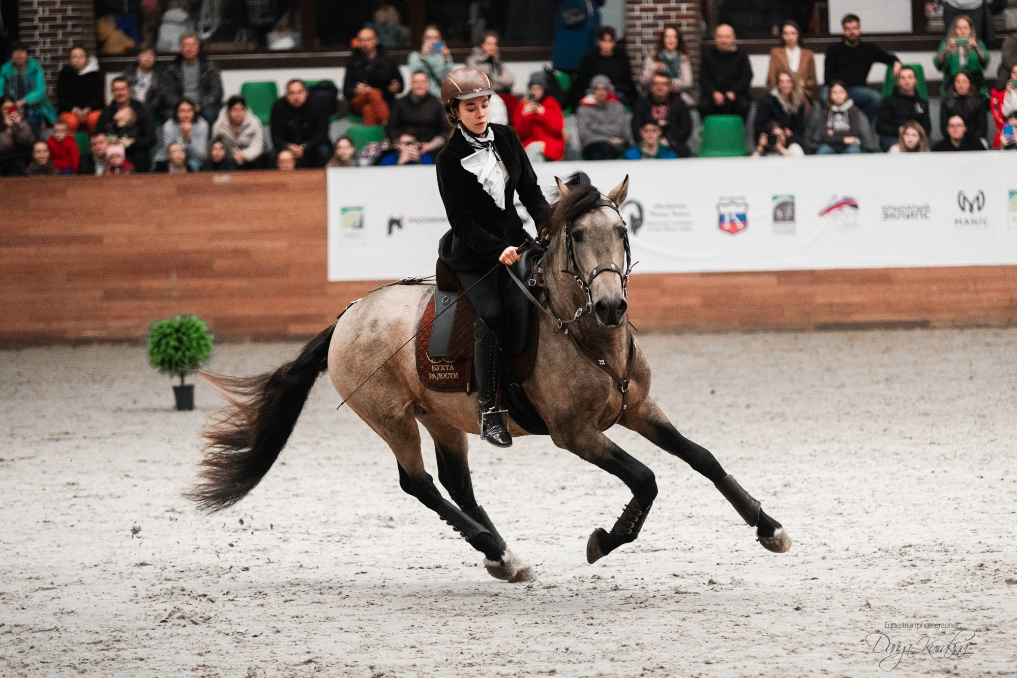 8-я международная выставка Конная Россия. Конный фотограф Куракина Дарья • Фотосессии с лошадьми