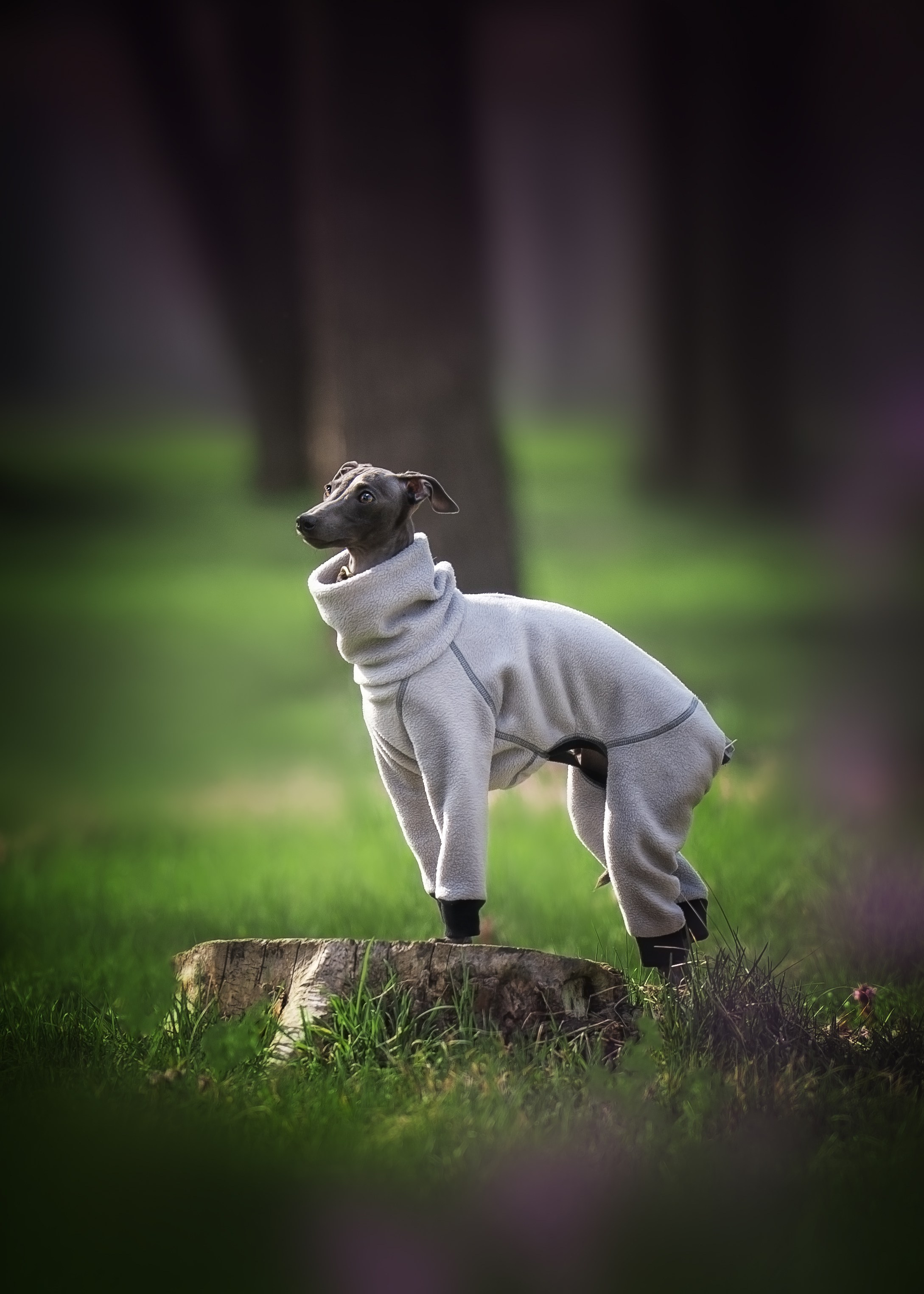 НОУЗВОРК 1–4 мая