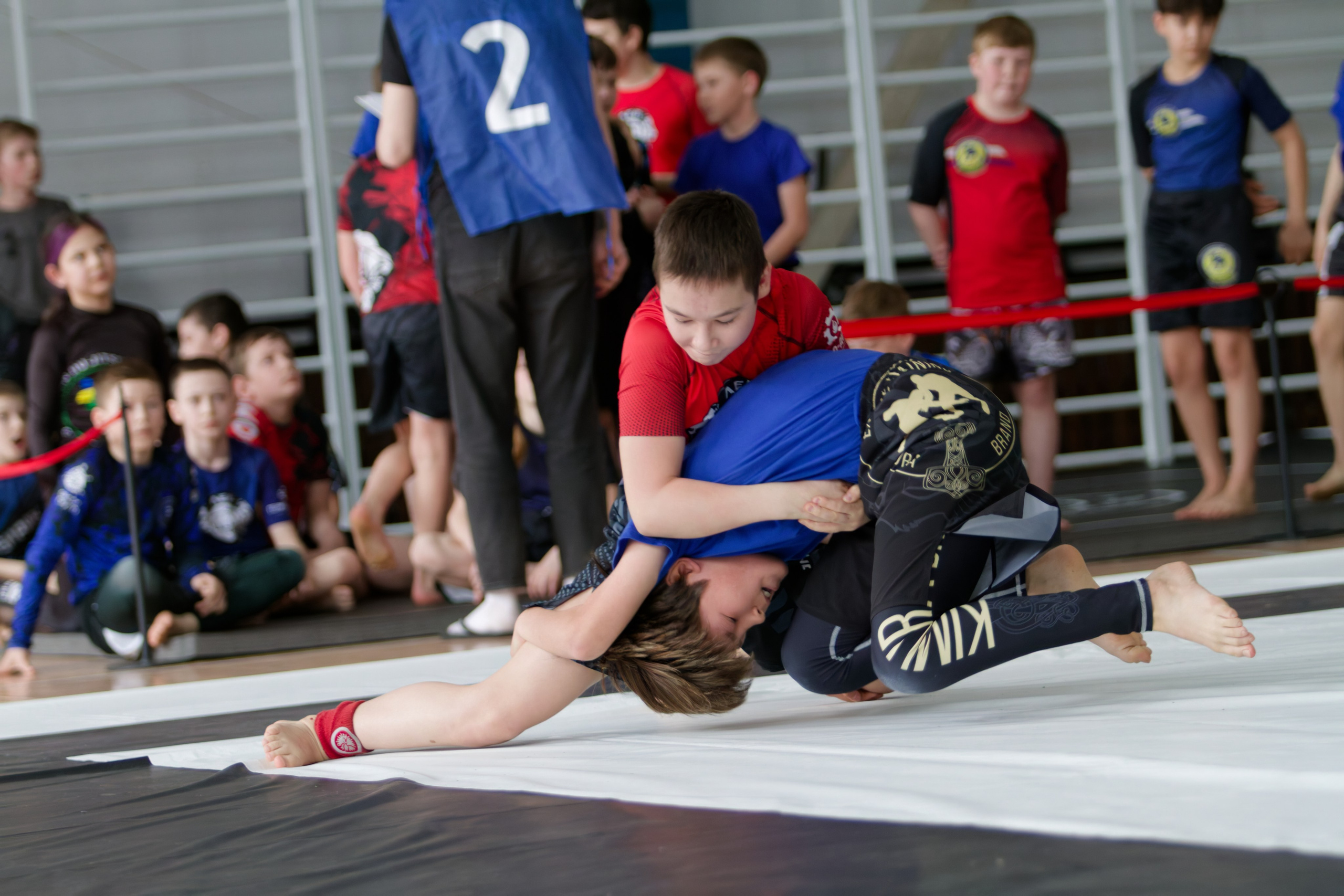 Борьба. Джиу-джитсу 26.04.2025. Репортажный и спортивный фотограф в г. Пермь Зильберг Павел