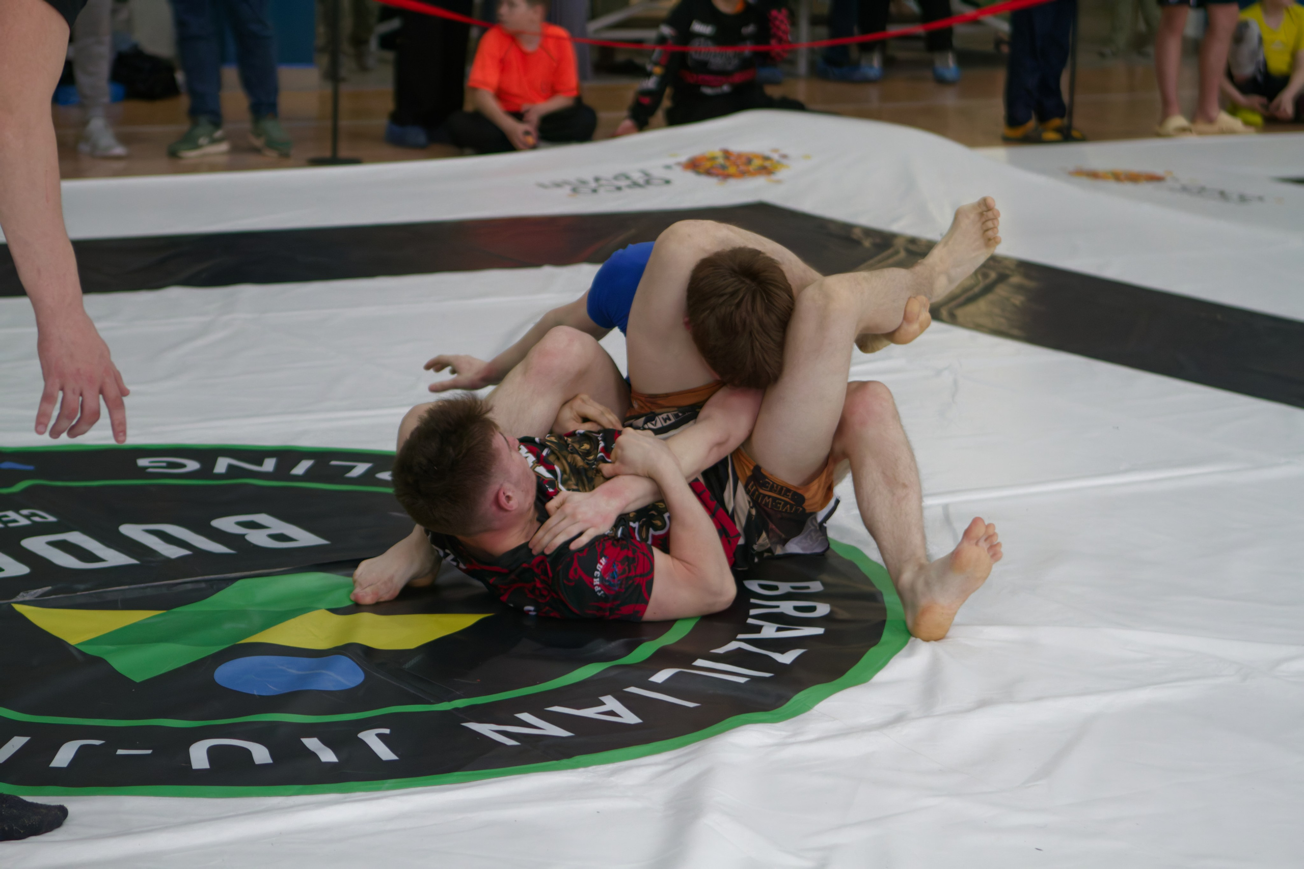 Борьба. Джиу-джитсу 26.04.2025. Репортажный и спортивный фотограф в г. Пермь Зильберг Павел