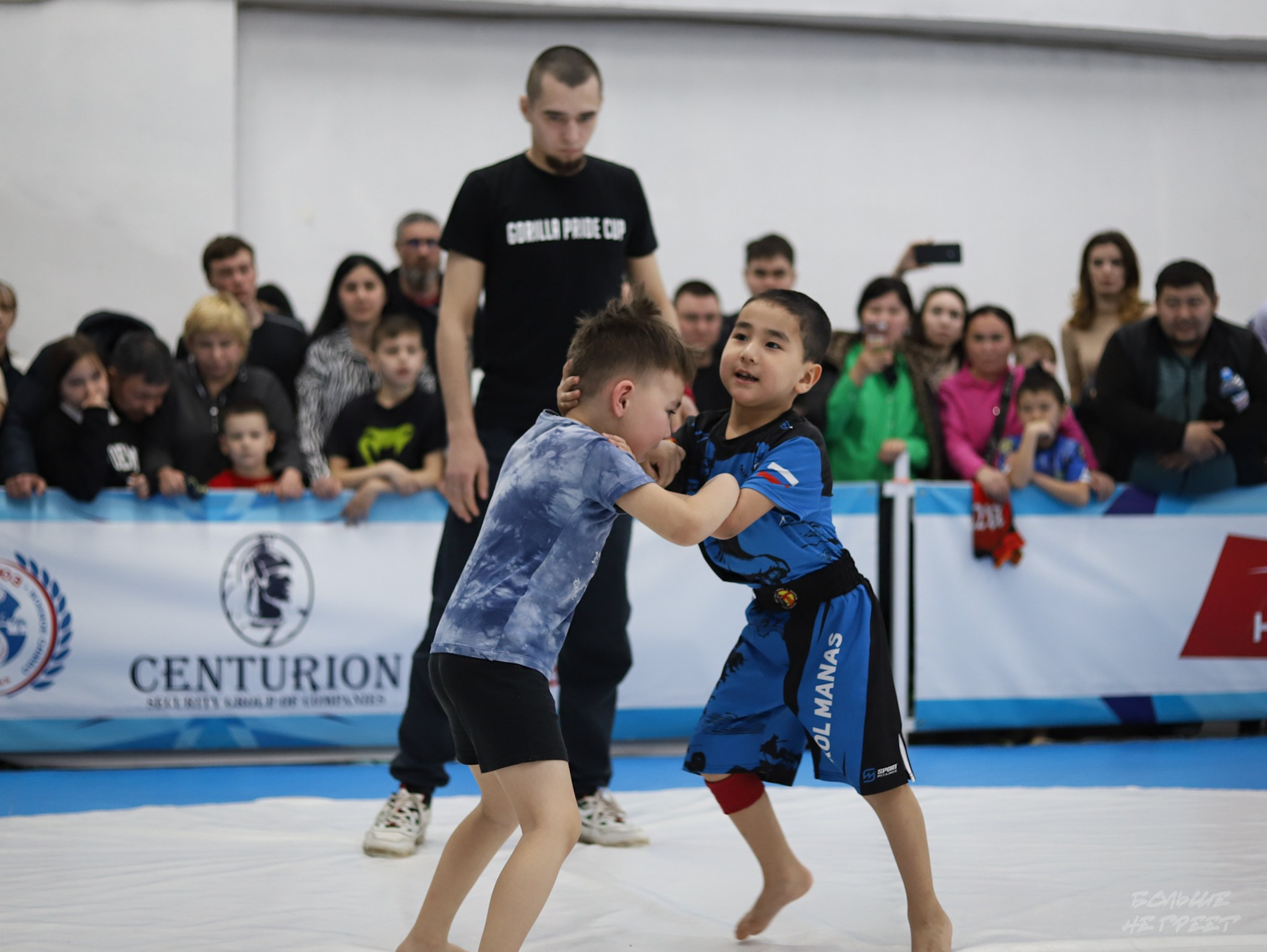 GORILLA PRIDE CUP. Больше не греет