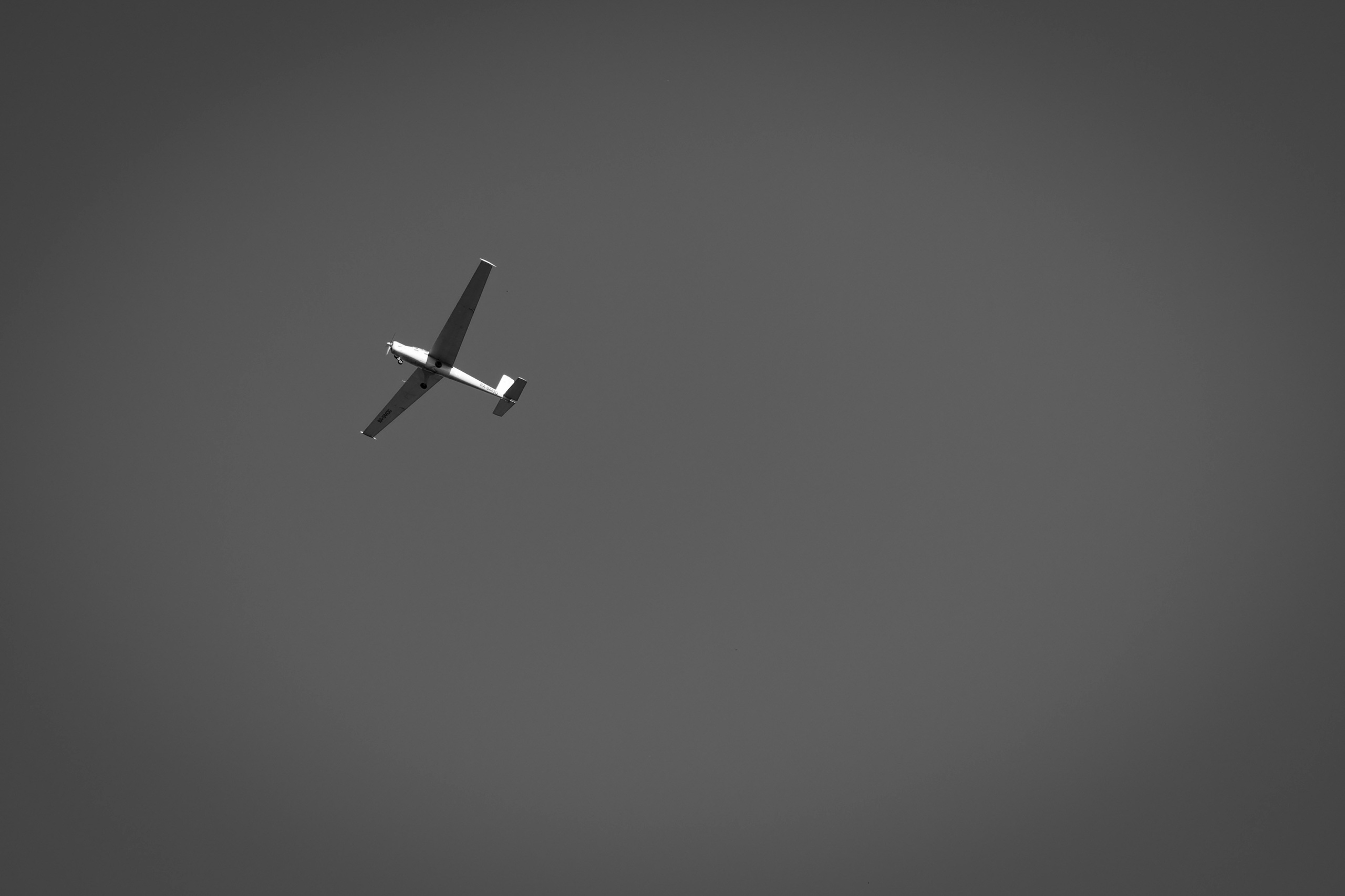 Из наблюдений. Плак или Квак