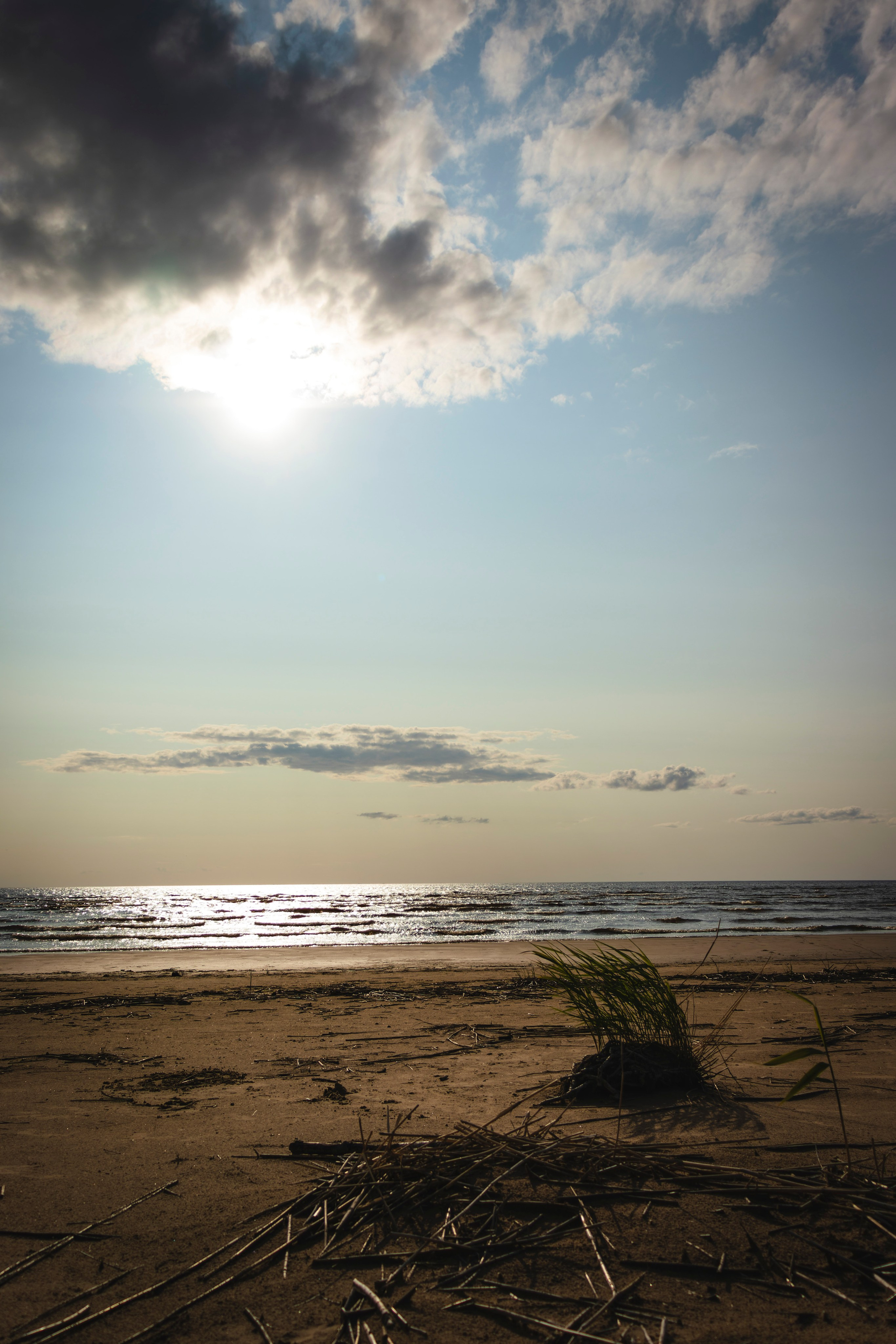 Из наблюдений. Плак или Квак