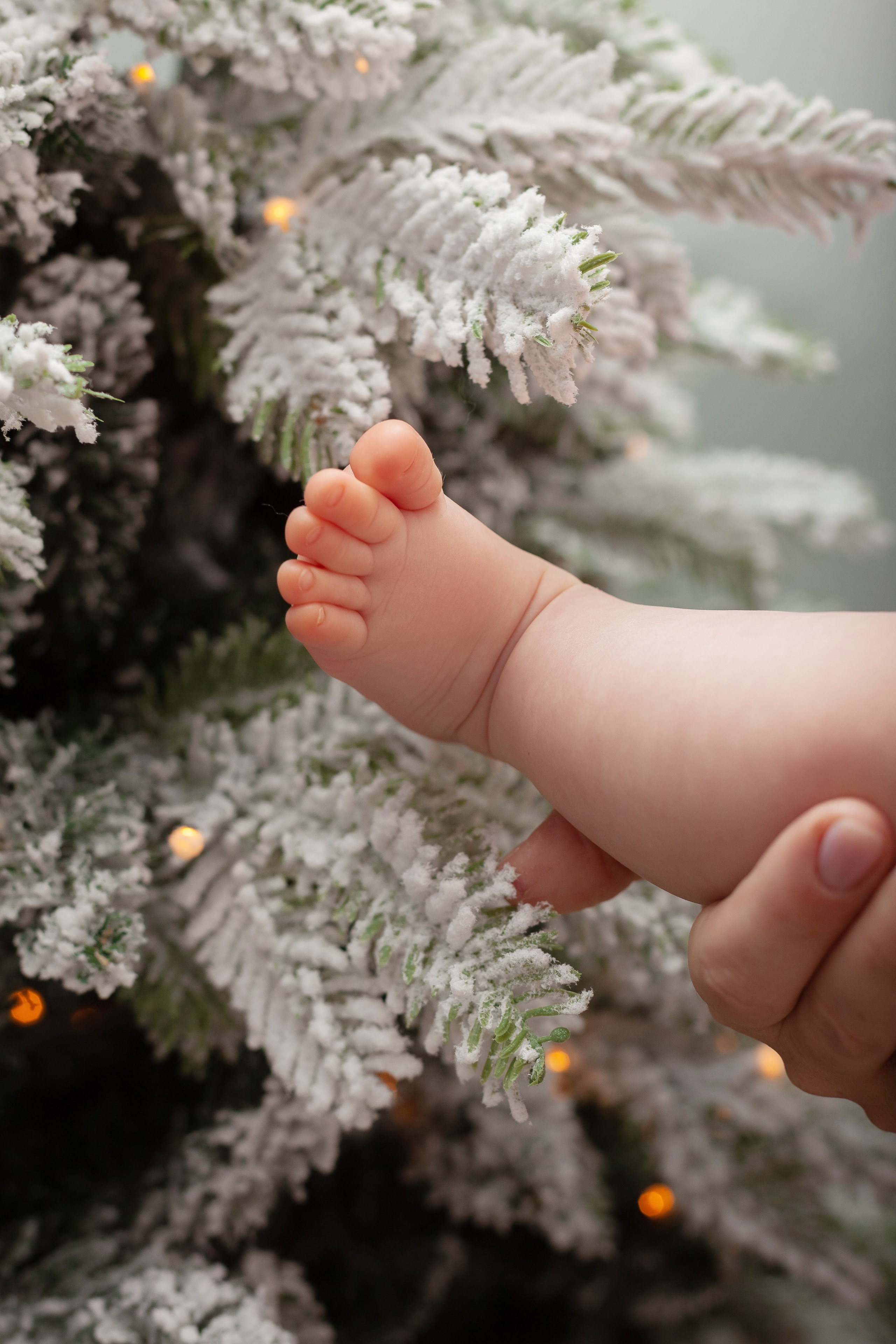 Мама, папа и малышка. Фотограф в Томске Евгения Гуляева