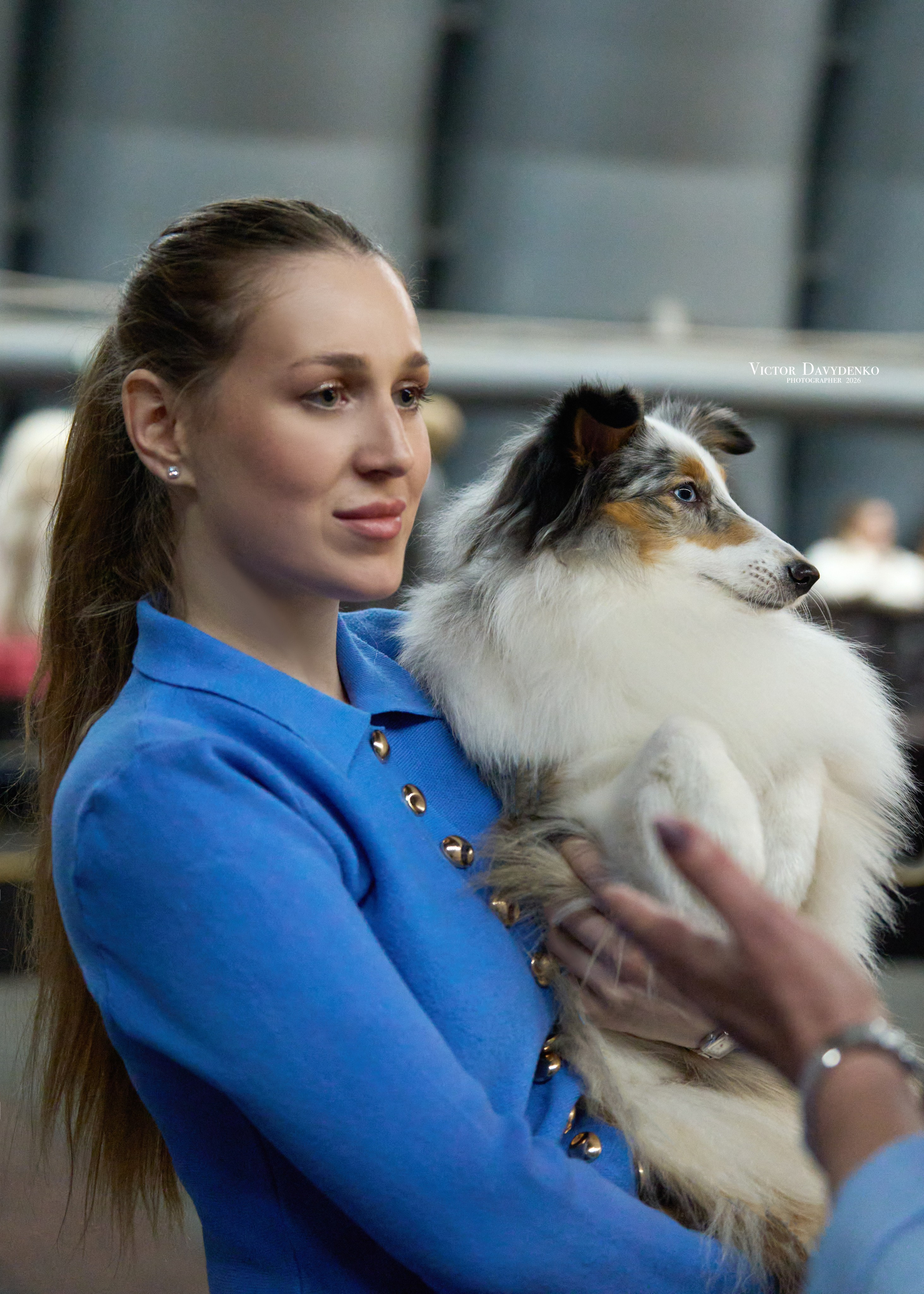  фотограф собак краснодар выставка собак дог шоу