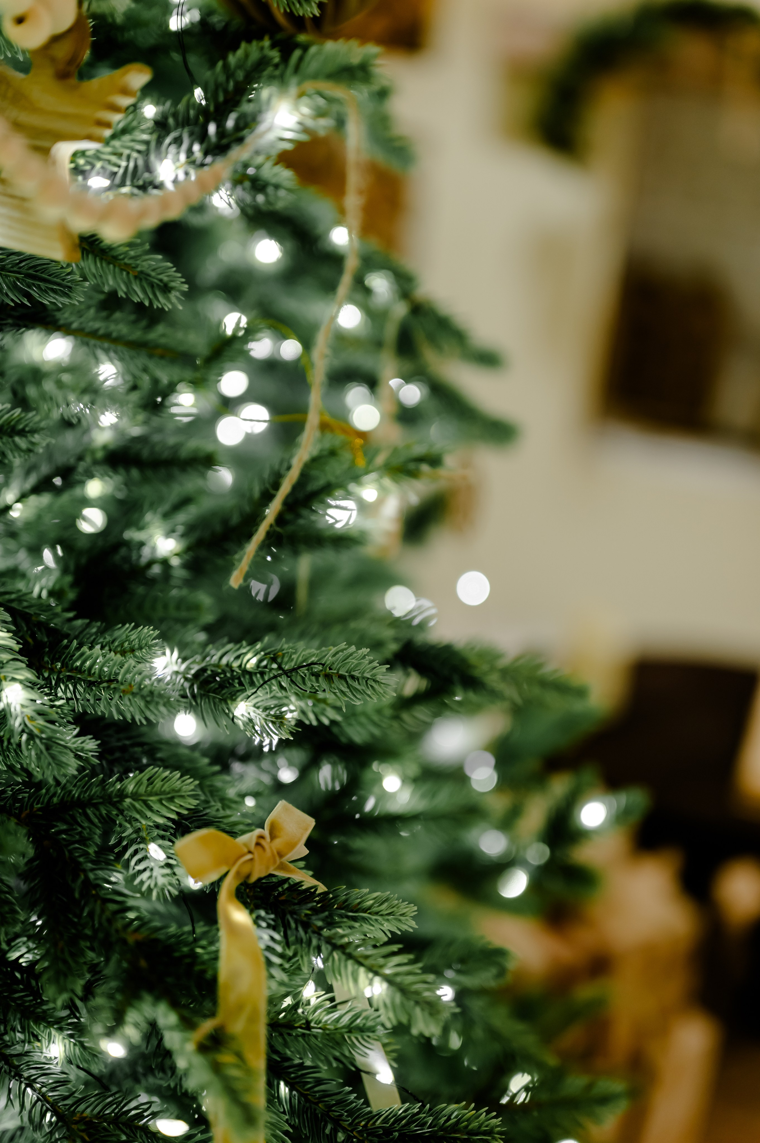 1+1=5. Свадебный и семейный фотограф Евгения Кононова