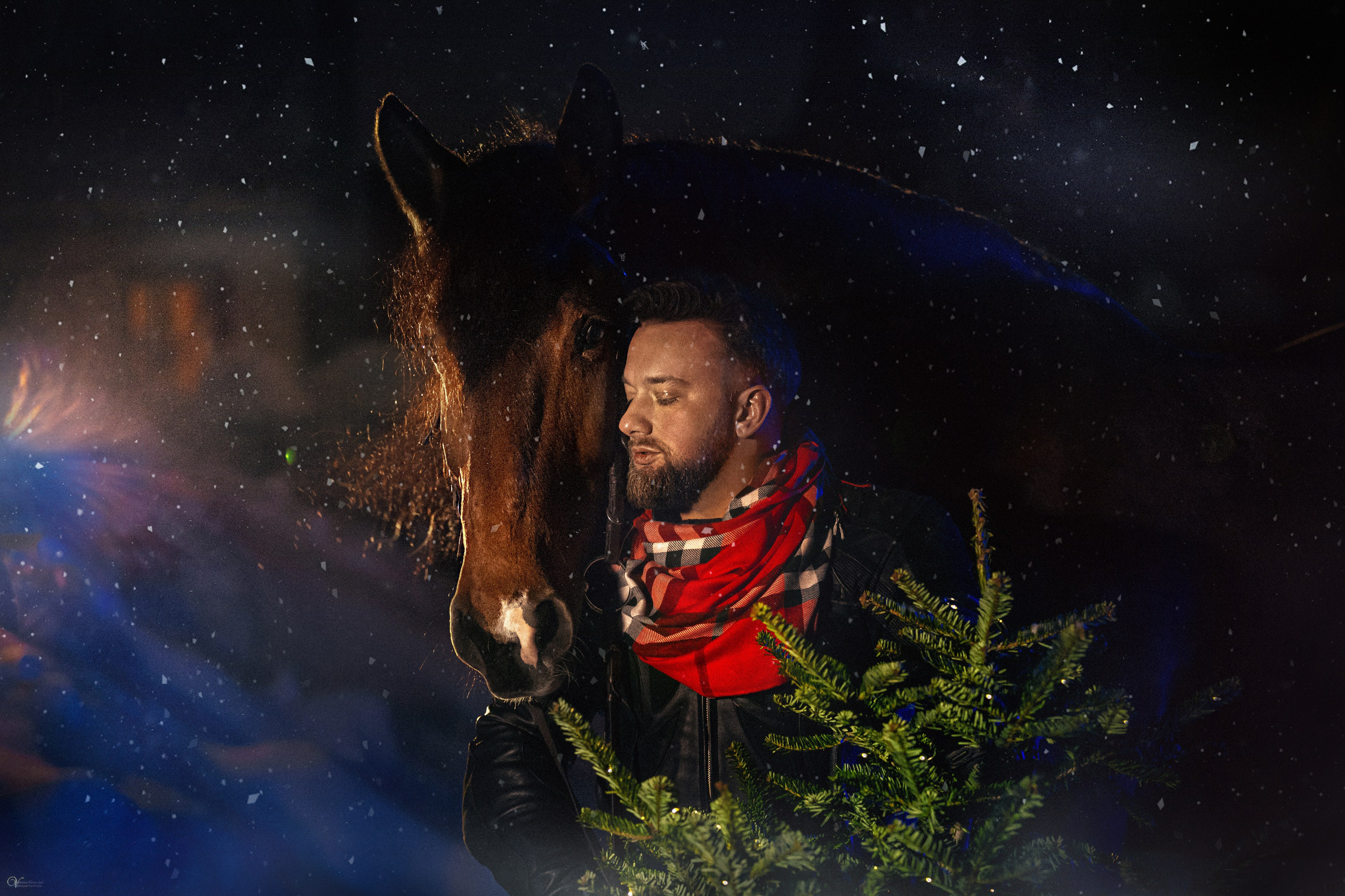 Фотосессии с лошадьми зимой. Фотограф женский и мужской портрет Санкт-Петербург