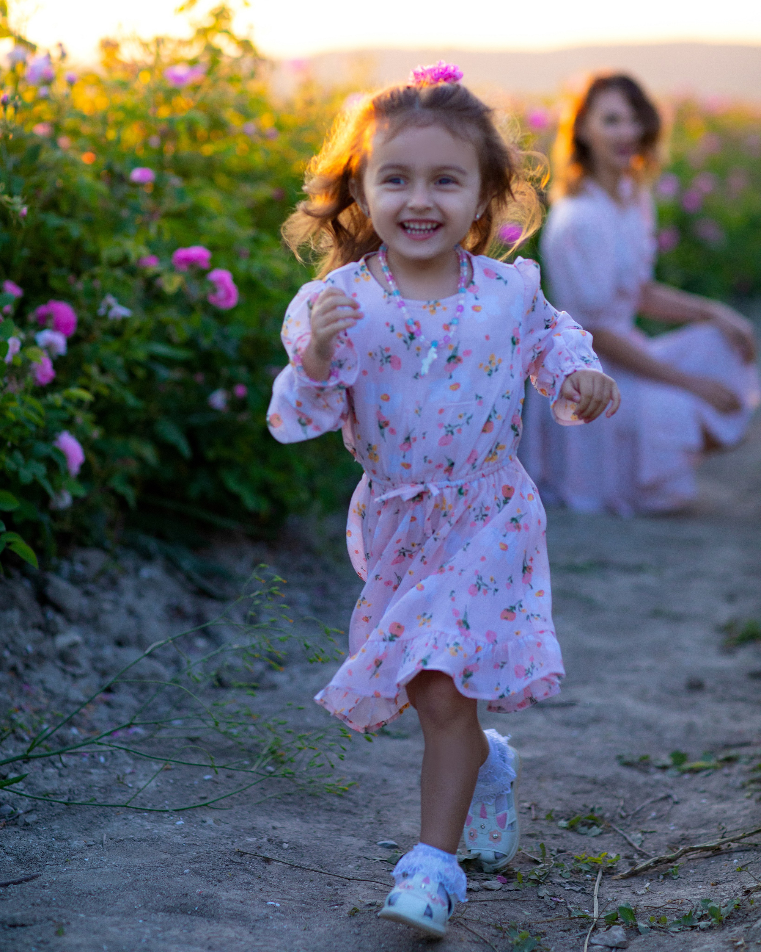 Чайная роза. Фотограф Севастополь/Крым Светлана Евтушенко