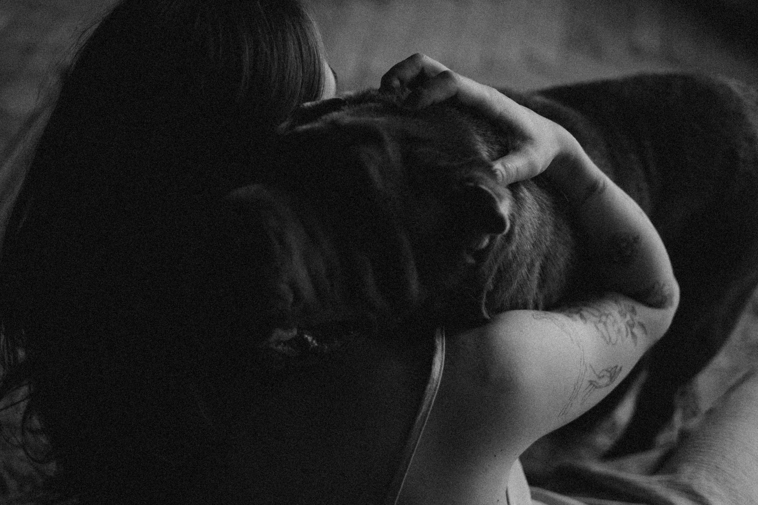 Ульяна и Вагнер. Фотограф — Анималист | Санкт-Петербург