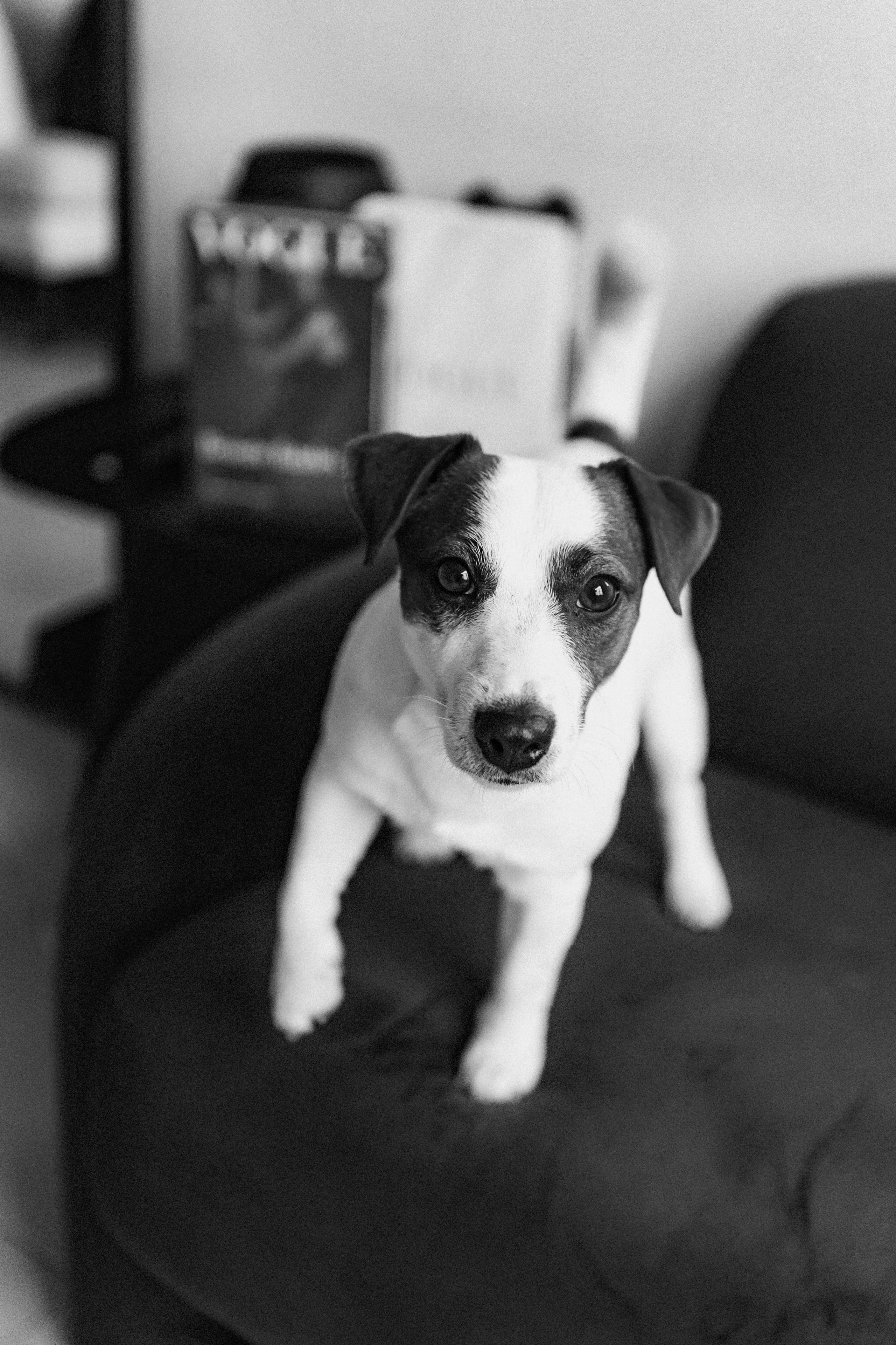 2024.03.24 Танюша, Руслан и Боба. Ирина Бешляга. Фотограф в Москве и по всей России