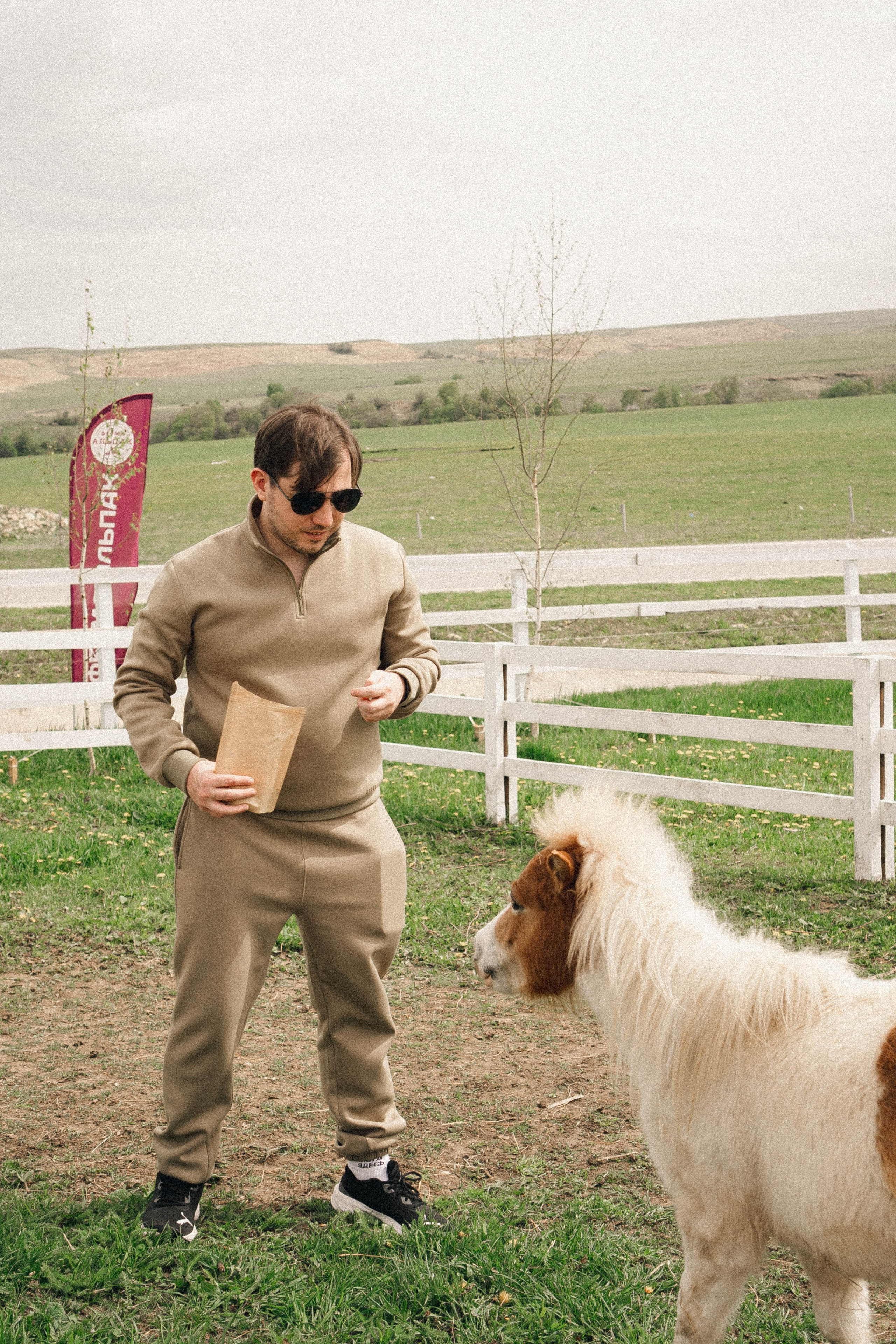 Ферма Альпак. Профессиональный фотограф, Санкт-Петербург — Виктория Богомолова