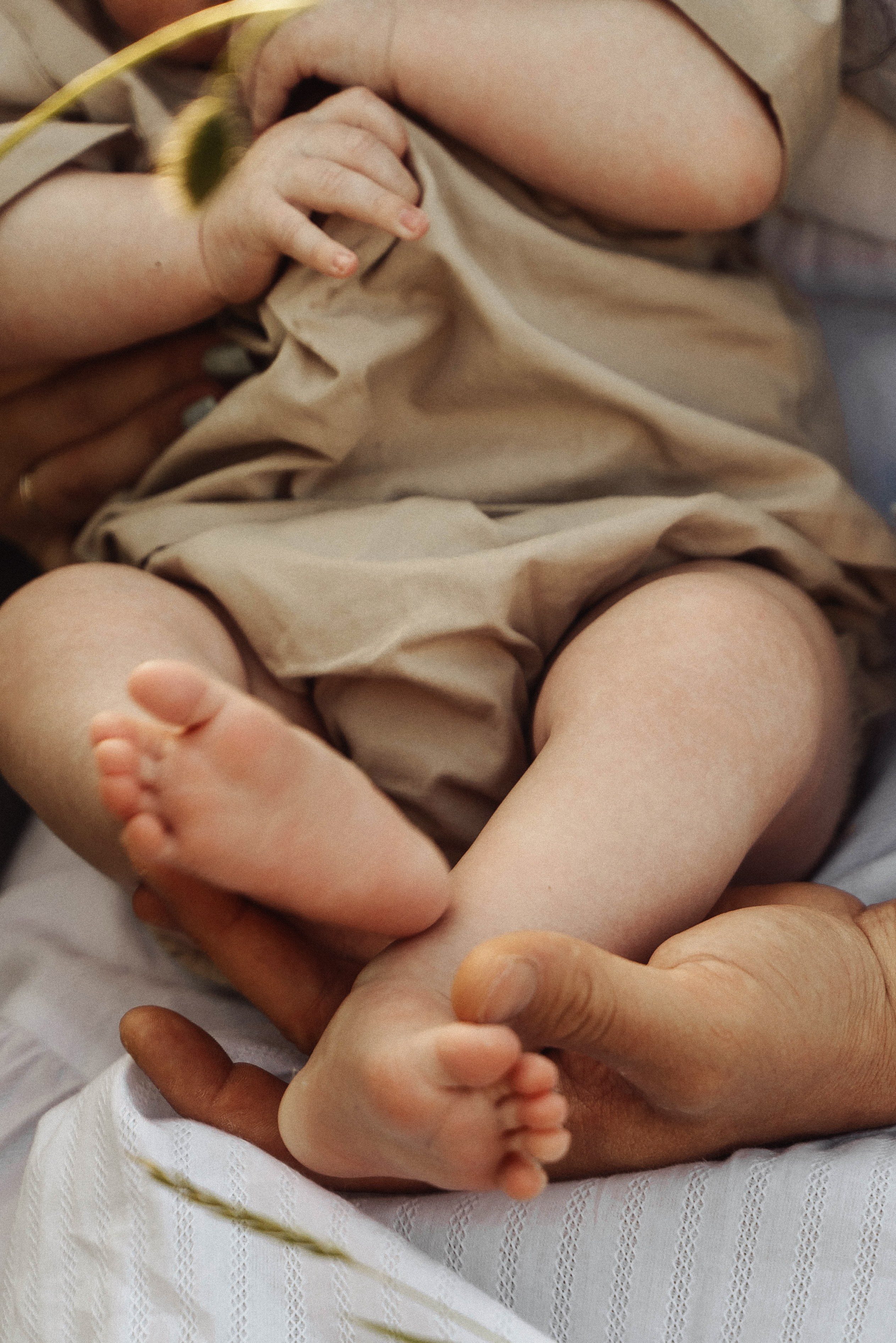В маках. Услуги фотографа в Анапе — фотосессия для семьи, пары, женщин и мужчин | Татьяна Тагель