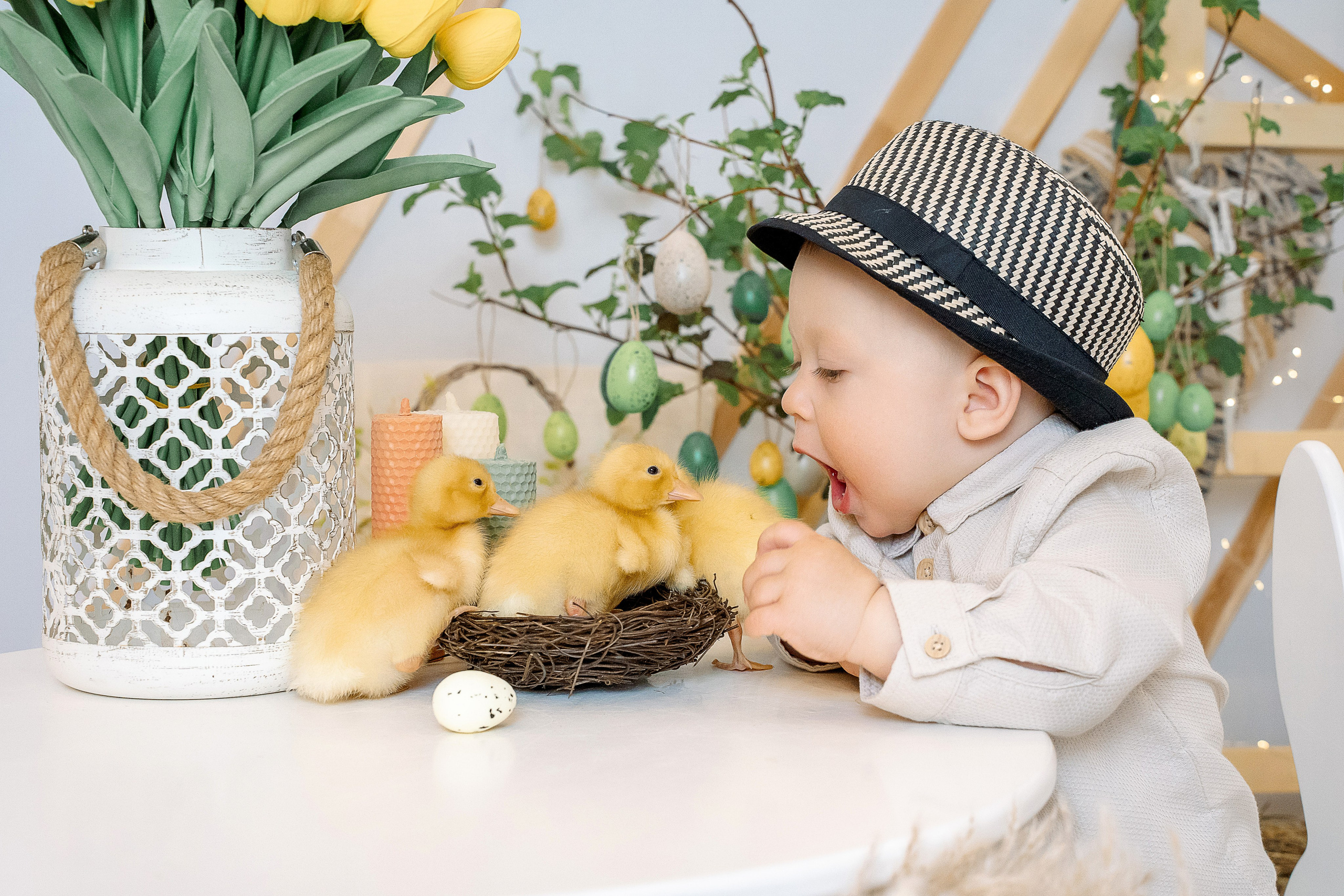 Утята. Фотограф Казакова Анастасия