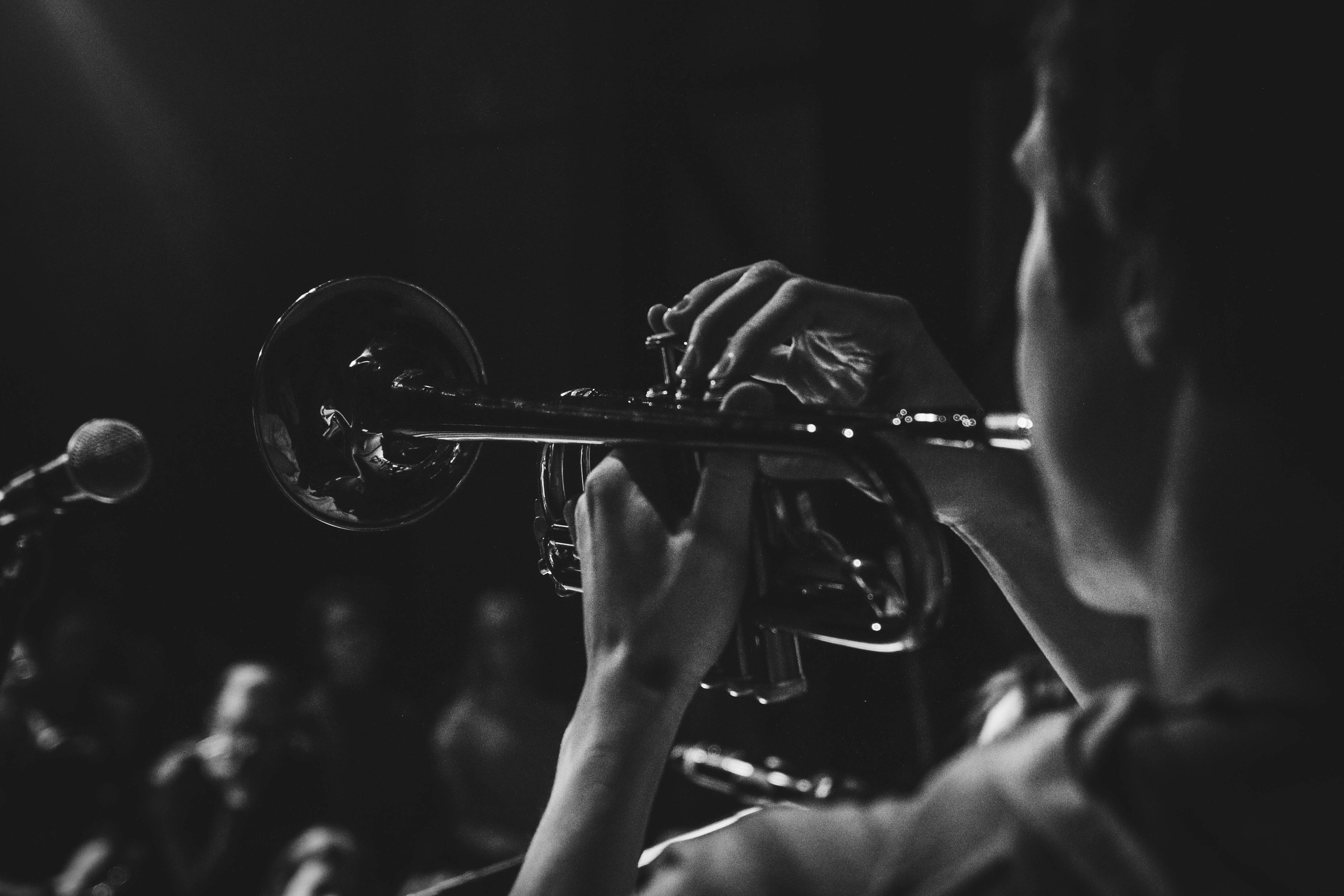 Kill The Barber! [2019]. Фотограф / Оператор Константин Козлов