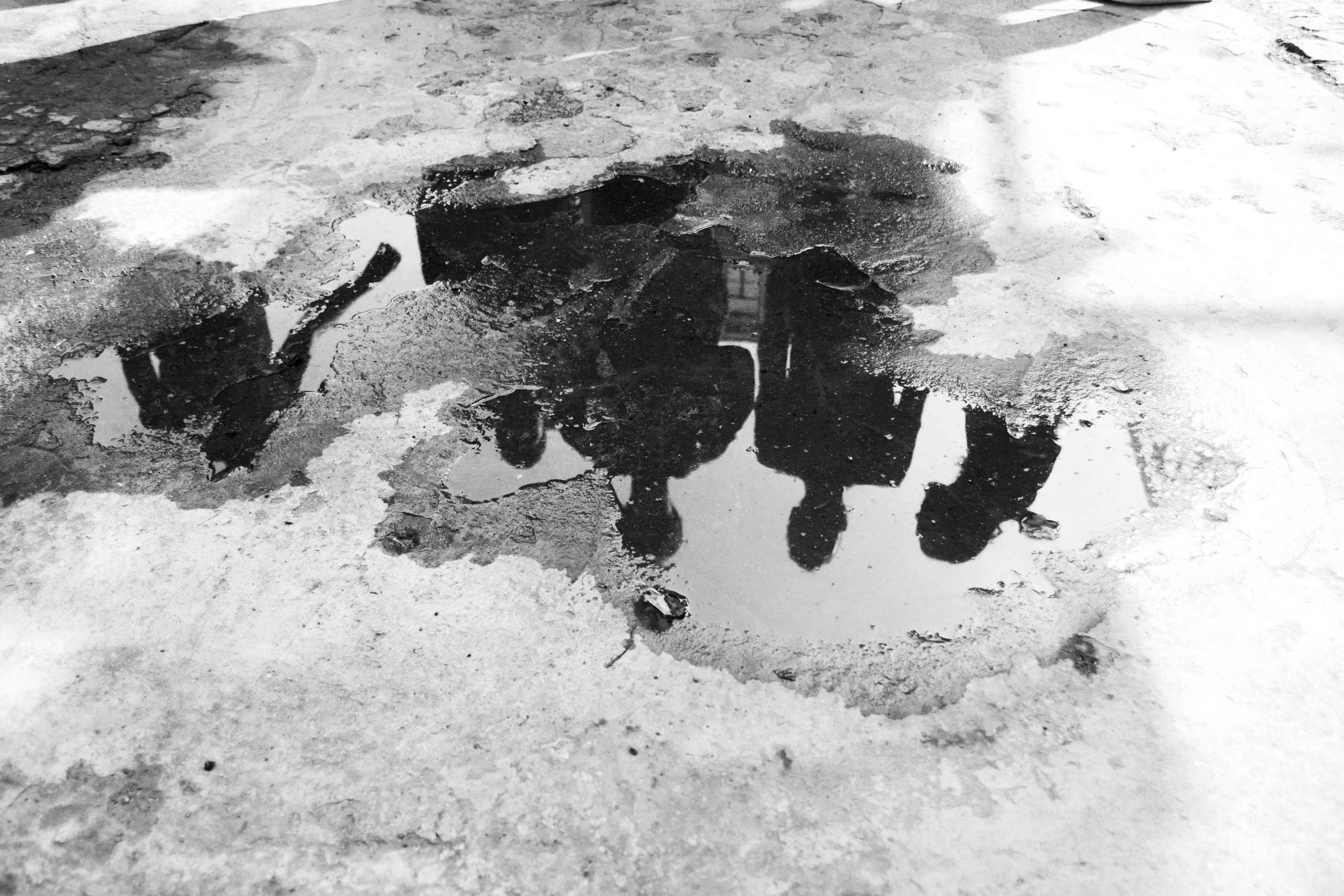 Levithan. Фотограф / Оператор Константин Козлов