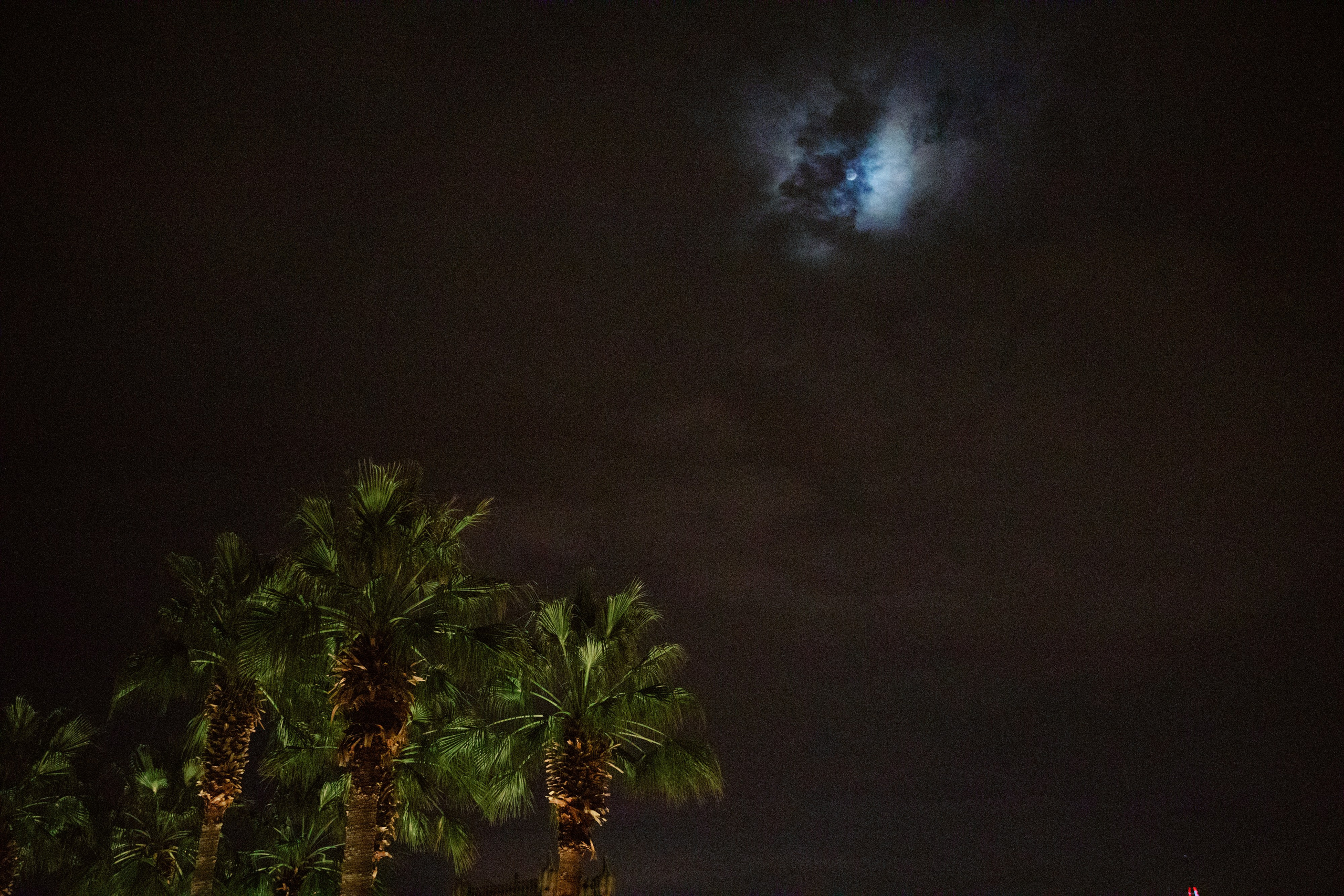 On the shores of the Bosphorus. Свадебный и репортажный фотограф