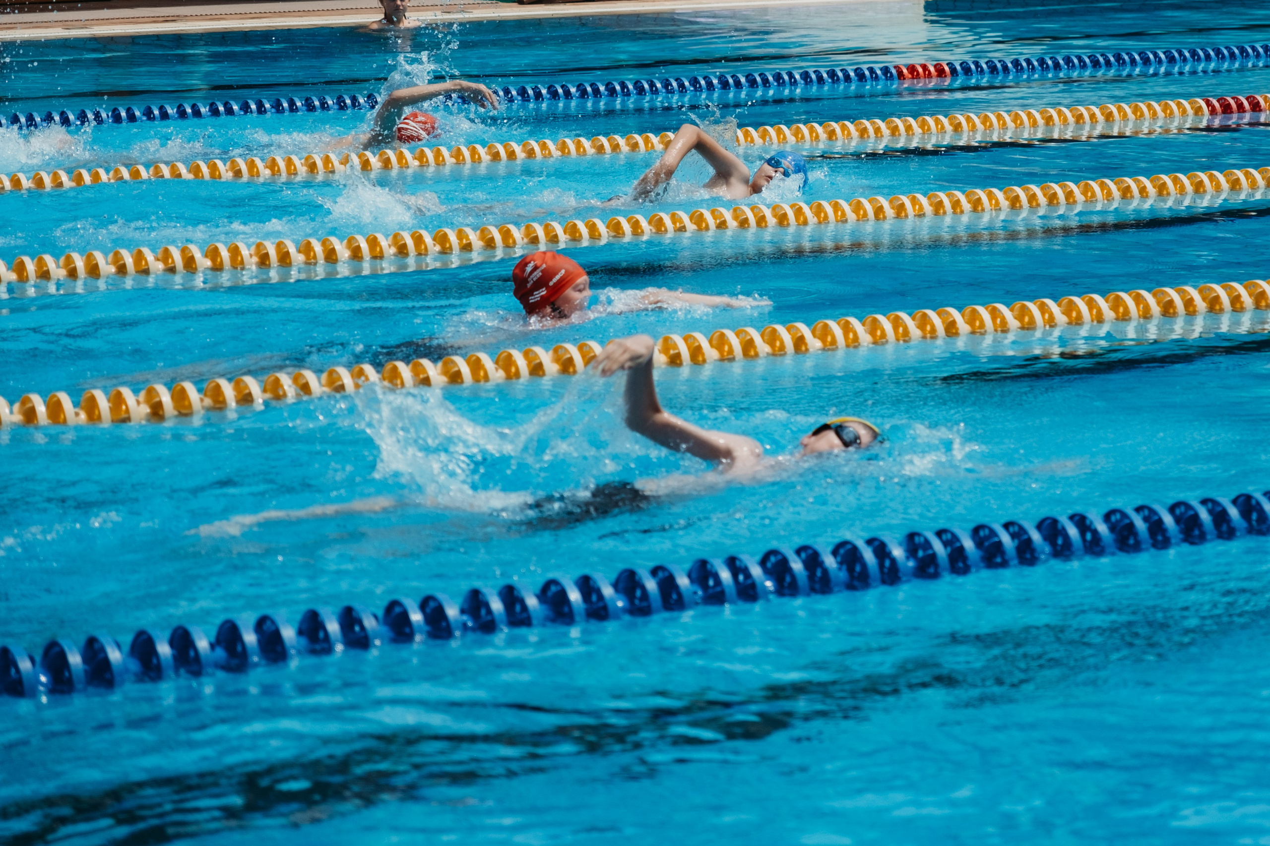 Всероссийский фестиваль «День пловца» в Гранд отель поляна. Репортажный фотограф в Сочи Екатерина Вежливцева