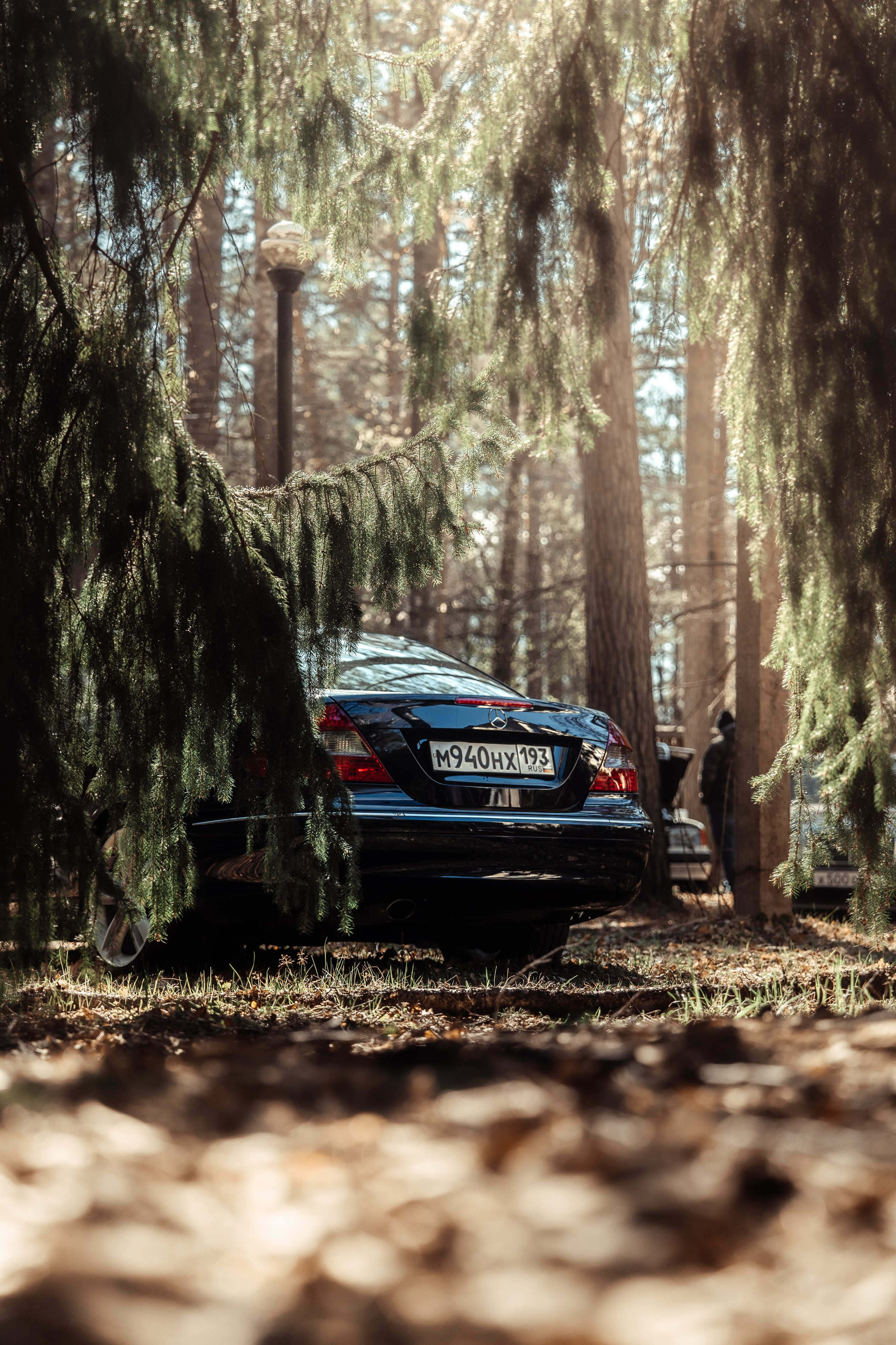 BENZ CLASSIC PICNIC. АВТОСПОРТИВНЫЙ ФОТОГРАФ