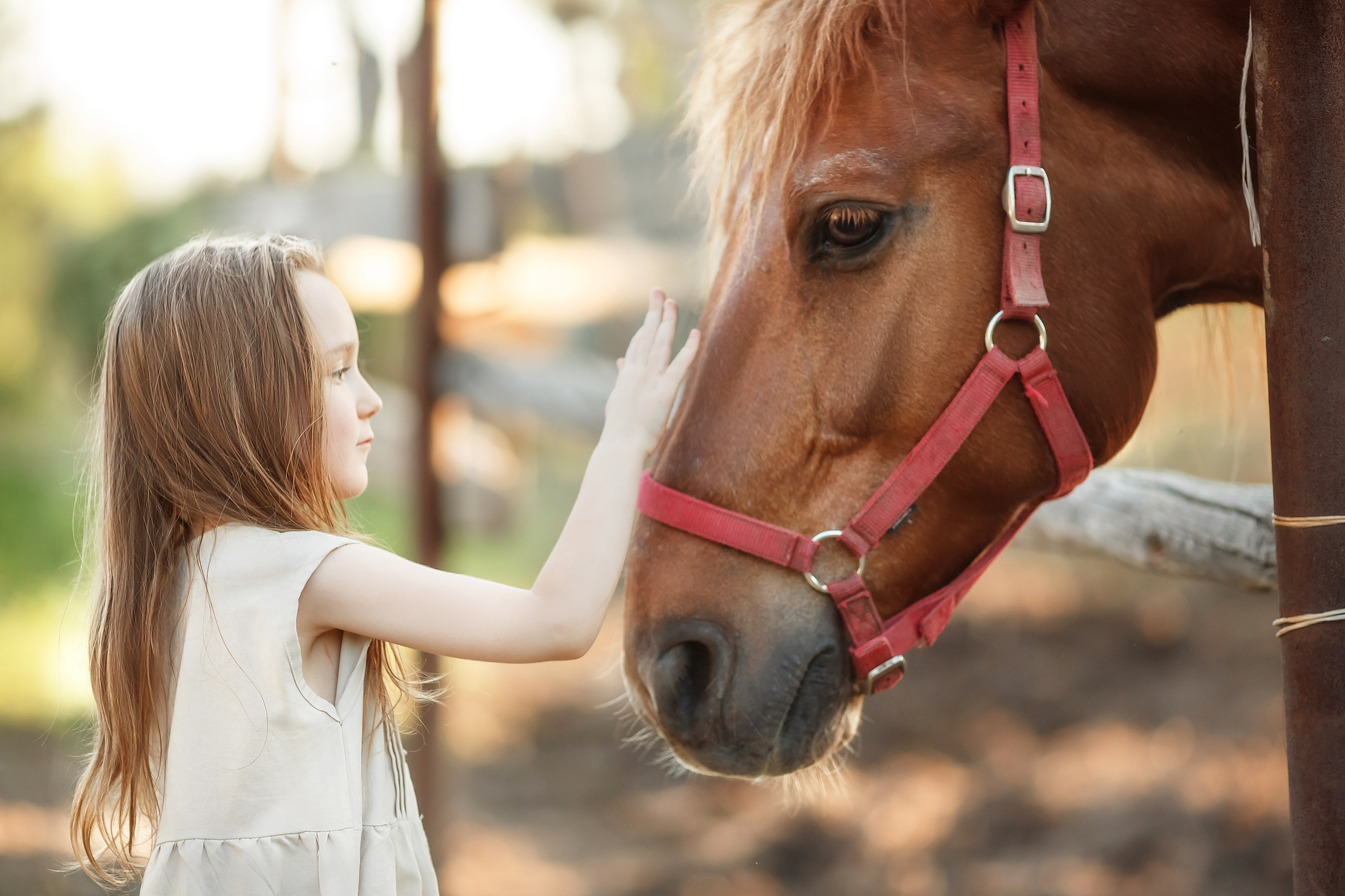 С конем. Сказочный фотограф фотопроекты фототуры в Новосибирске и на Алтае