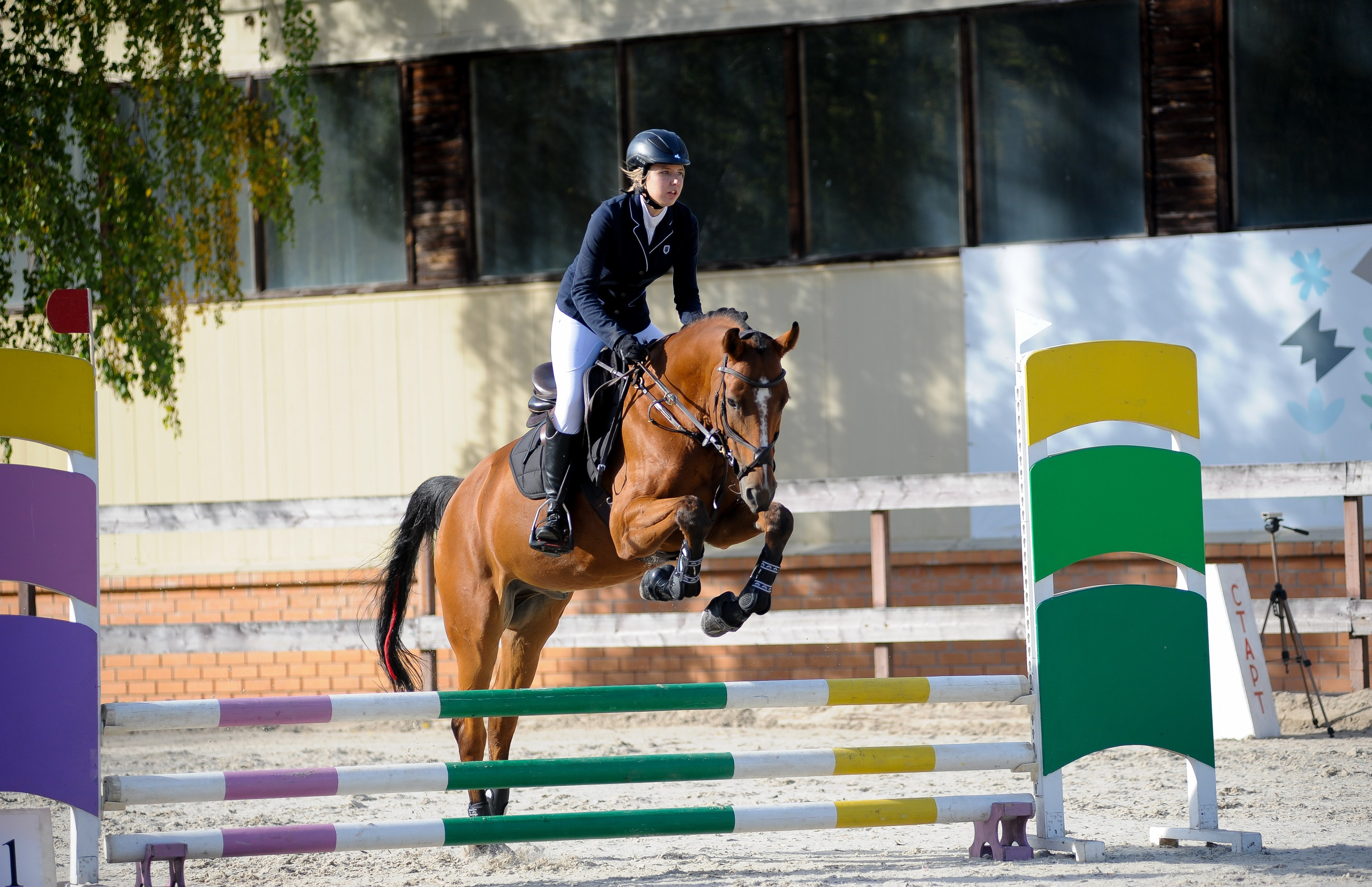 Конкур в конном клубе, репортаж Москва. Фотограф, визажист. Москва