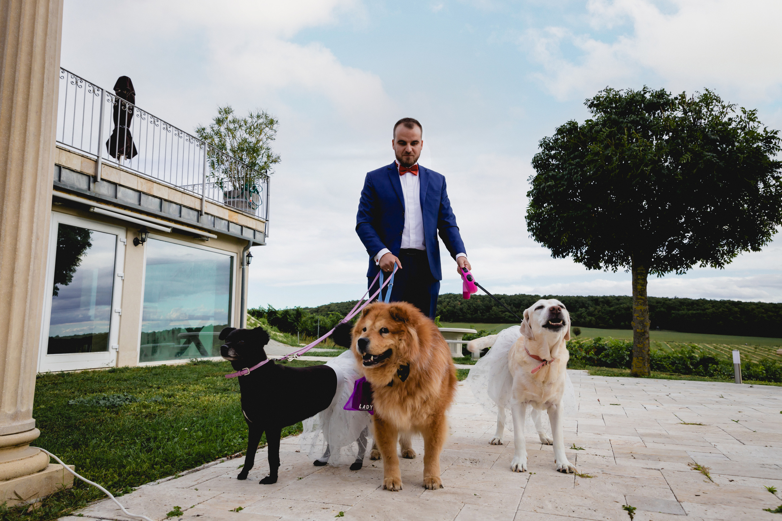 WITH_LOVE_FROM_BUDAPEST. Свадебный фотограф Мостовой Аркадий, Краснодар, Сочи