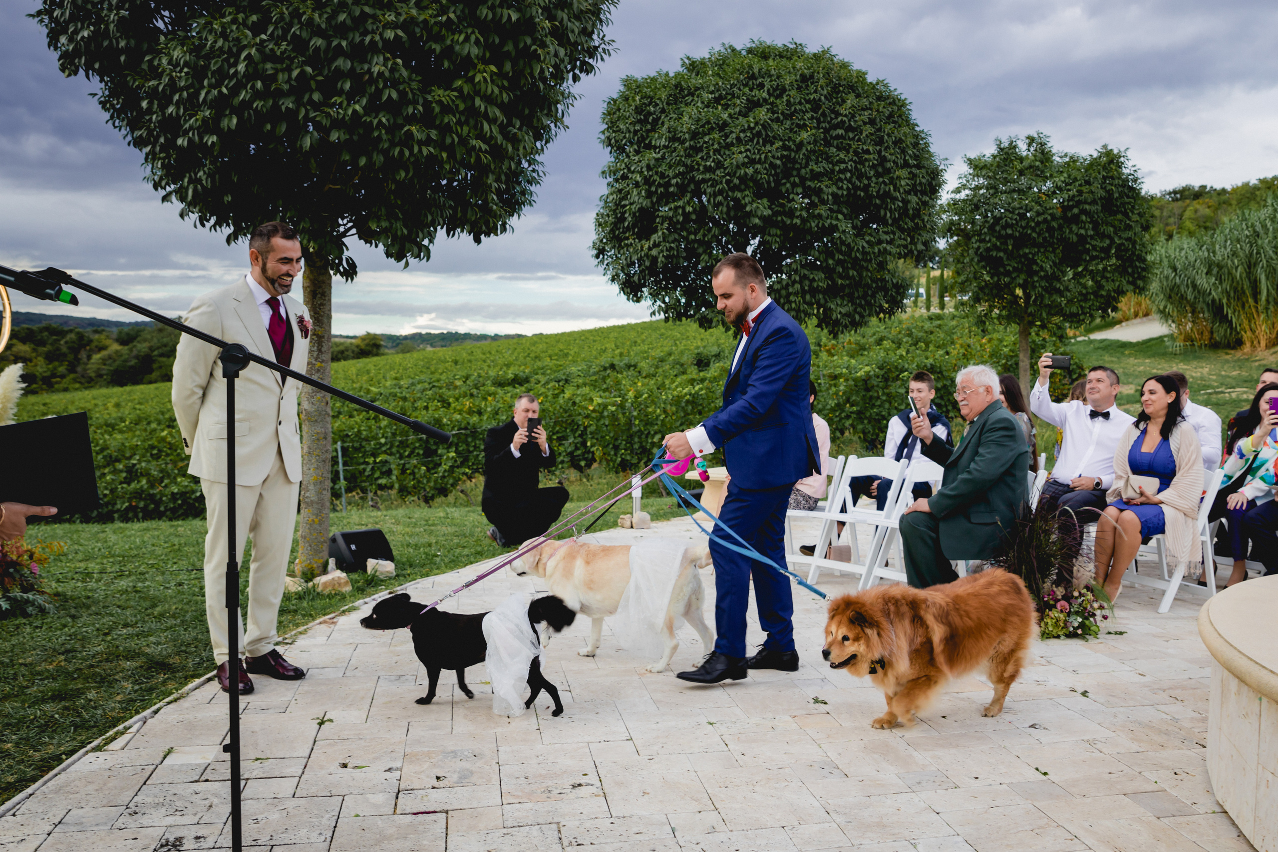 WITH_LOVE_FROM_BUDAPEST. Свадебный фотограф Мостовой Аркадий, Краснодар, Сочи