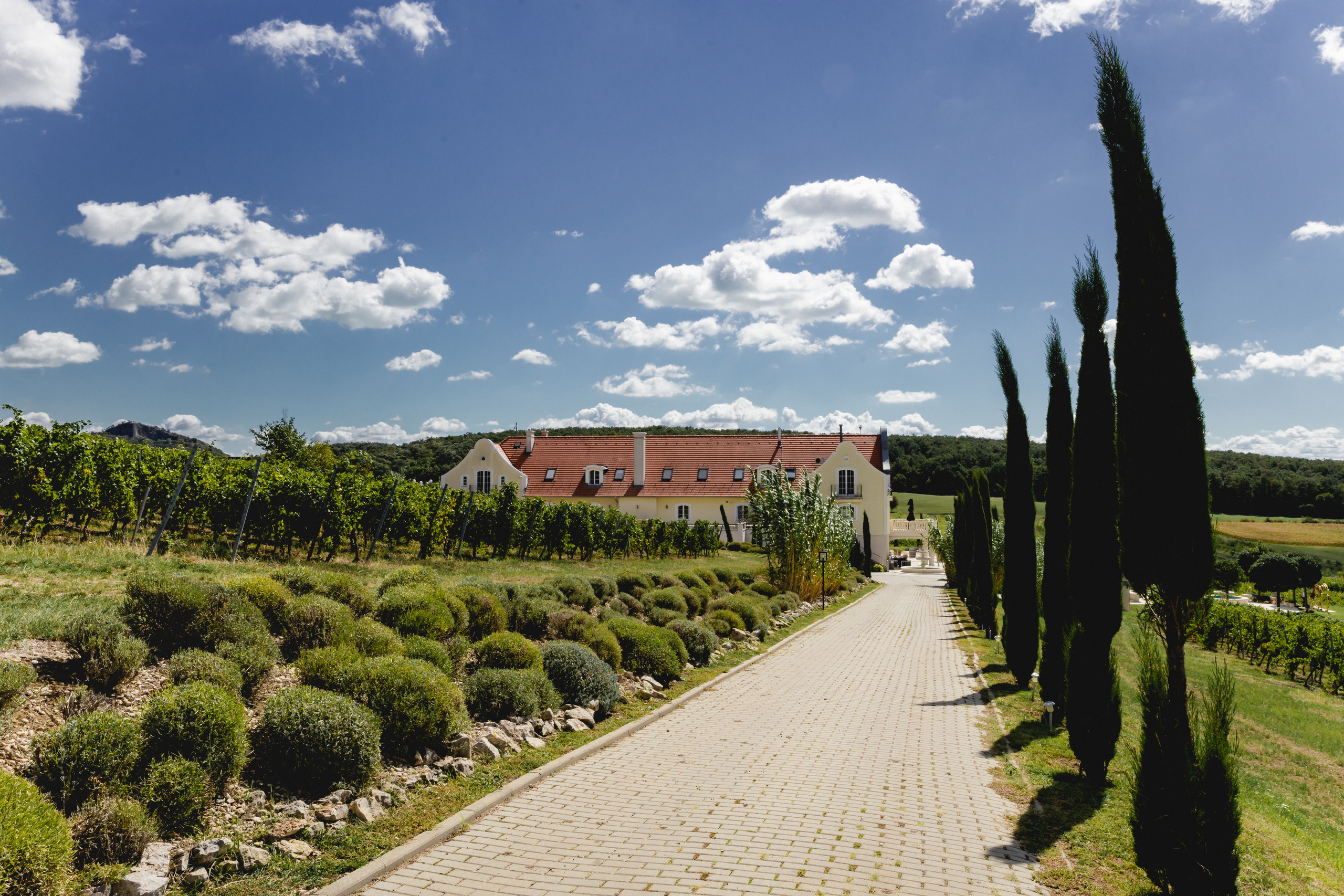 WITH_LOVE_FROM_BUDAPEST. Свадебный фотограф Мостовой Аркадий, Краснодар, Сочи