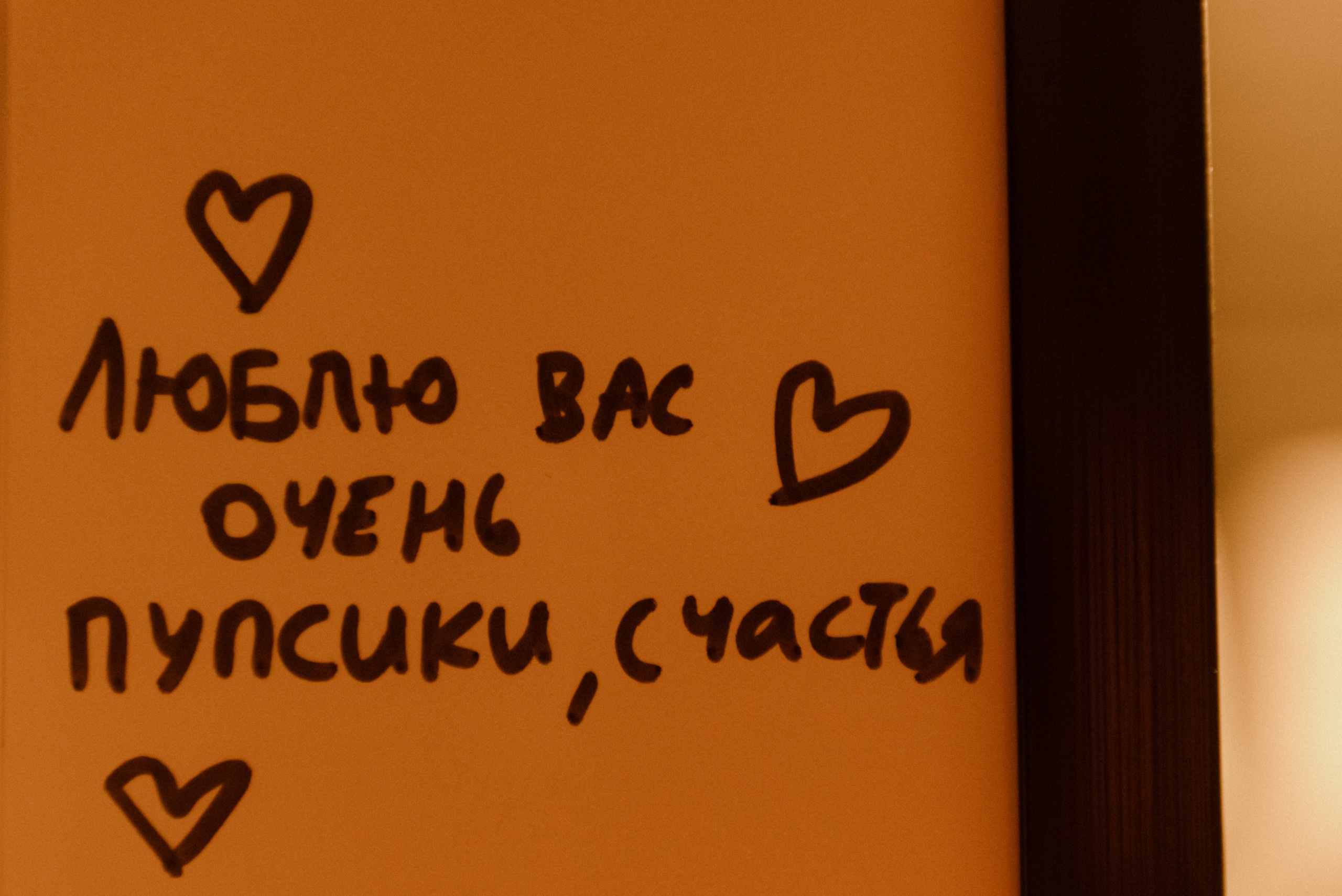 Люблю вас очень пупсики, счастья. Фотограф в Санкт-Петербурге Евгений Перевалов