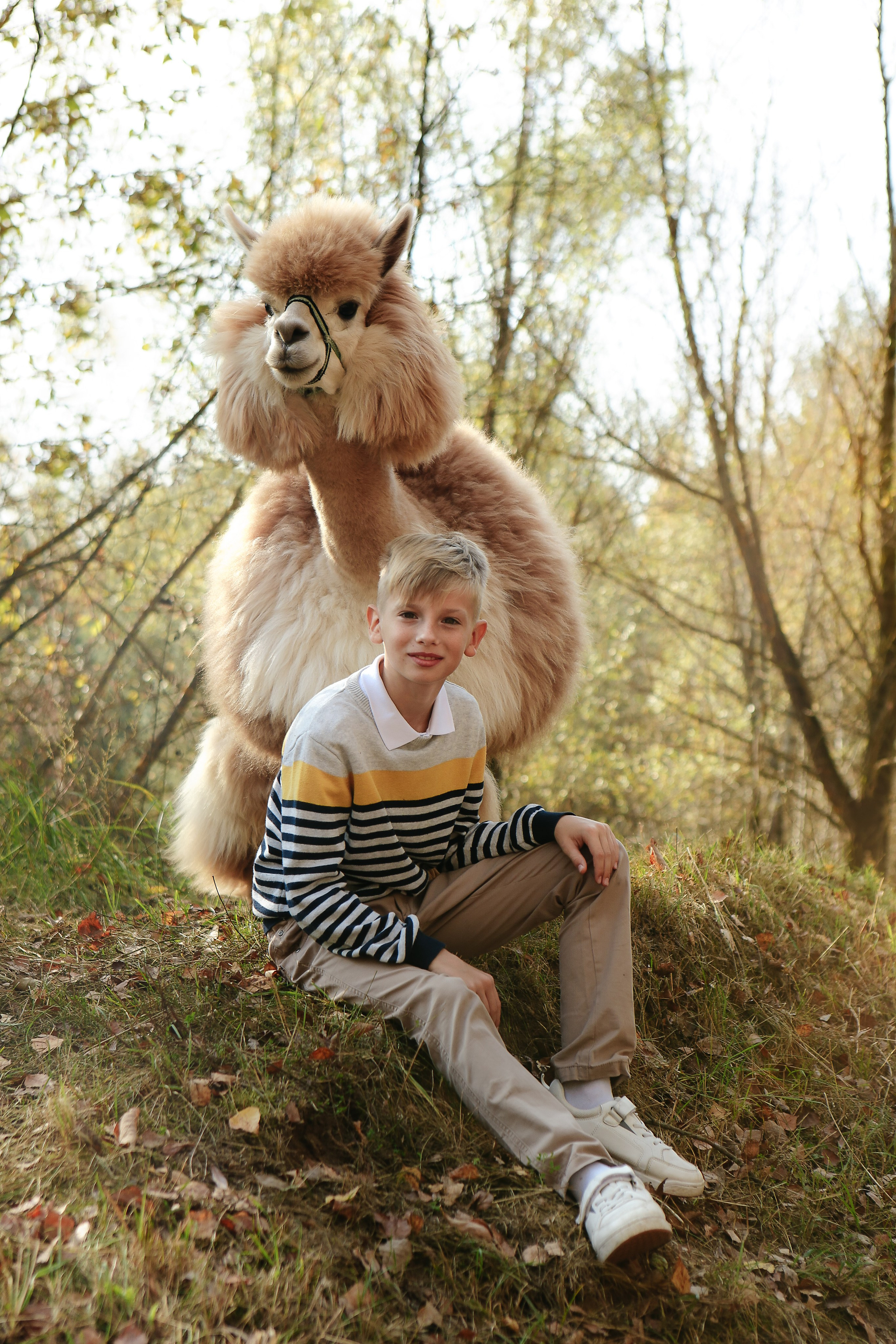 Альпаки. Семейный и детский фотограф в Москве Александра Мак