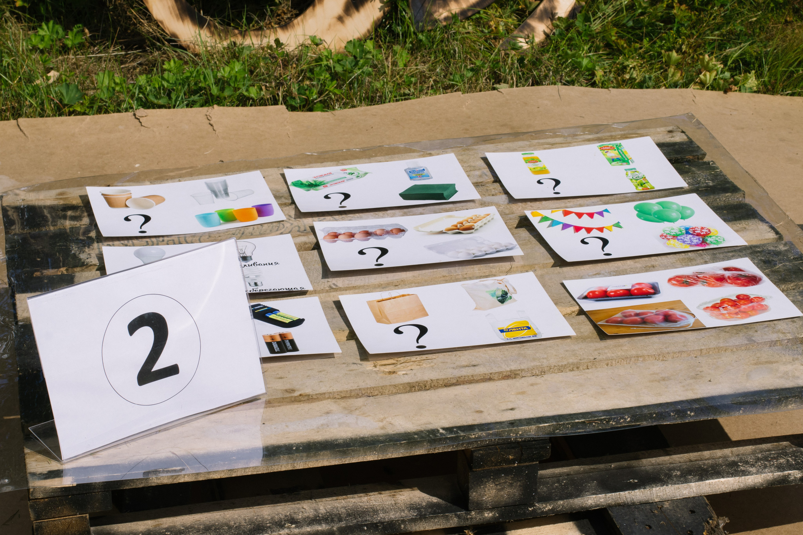 Фестивали, выставки. Коммерческий фотограф в Санкт-Петербурге (СПб) Екатерина Панчёха, Панчёшка