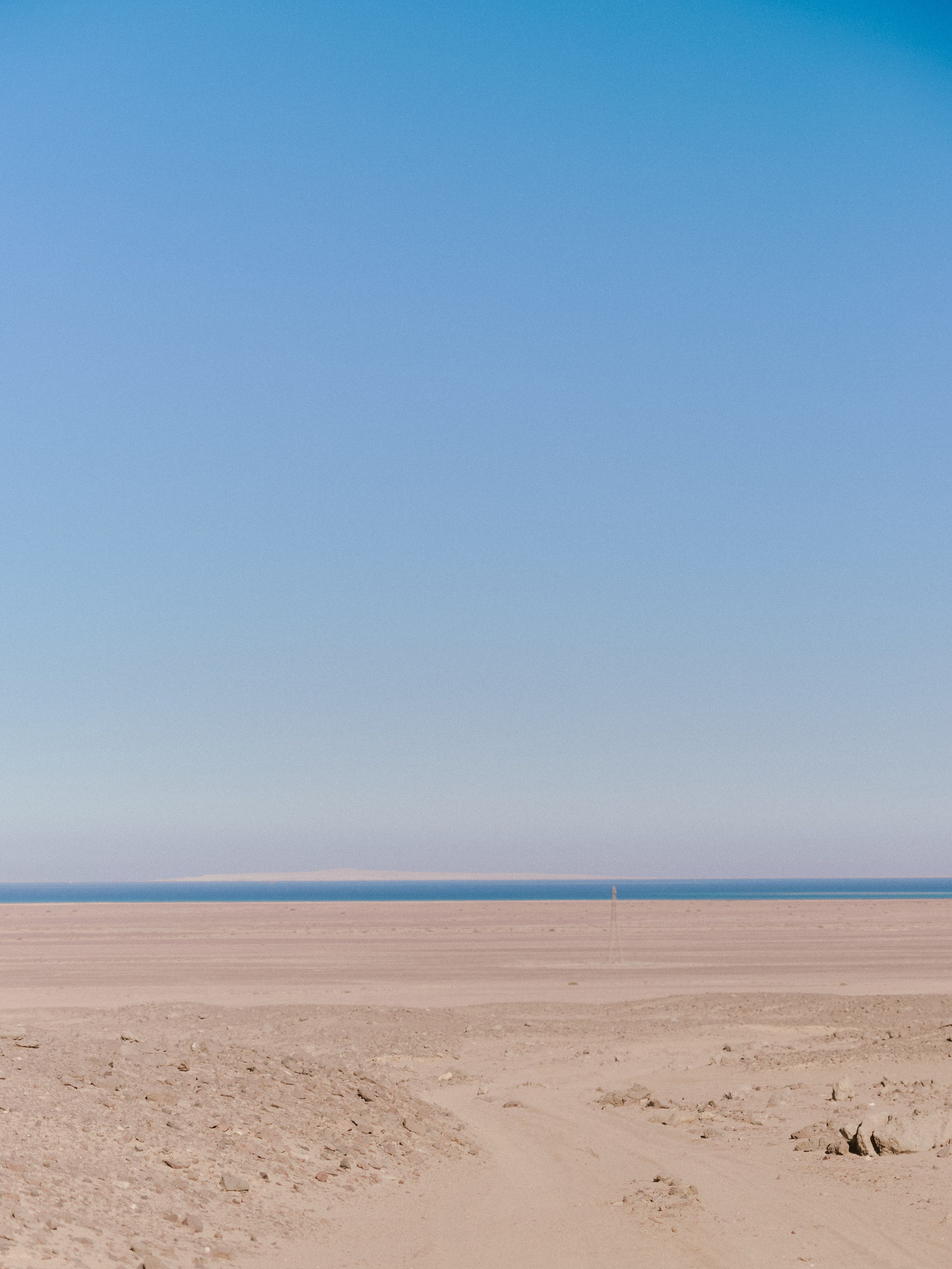 Природа сквозь. Jorgis Talè — photographer, kind person, teacher of arts and other mag