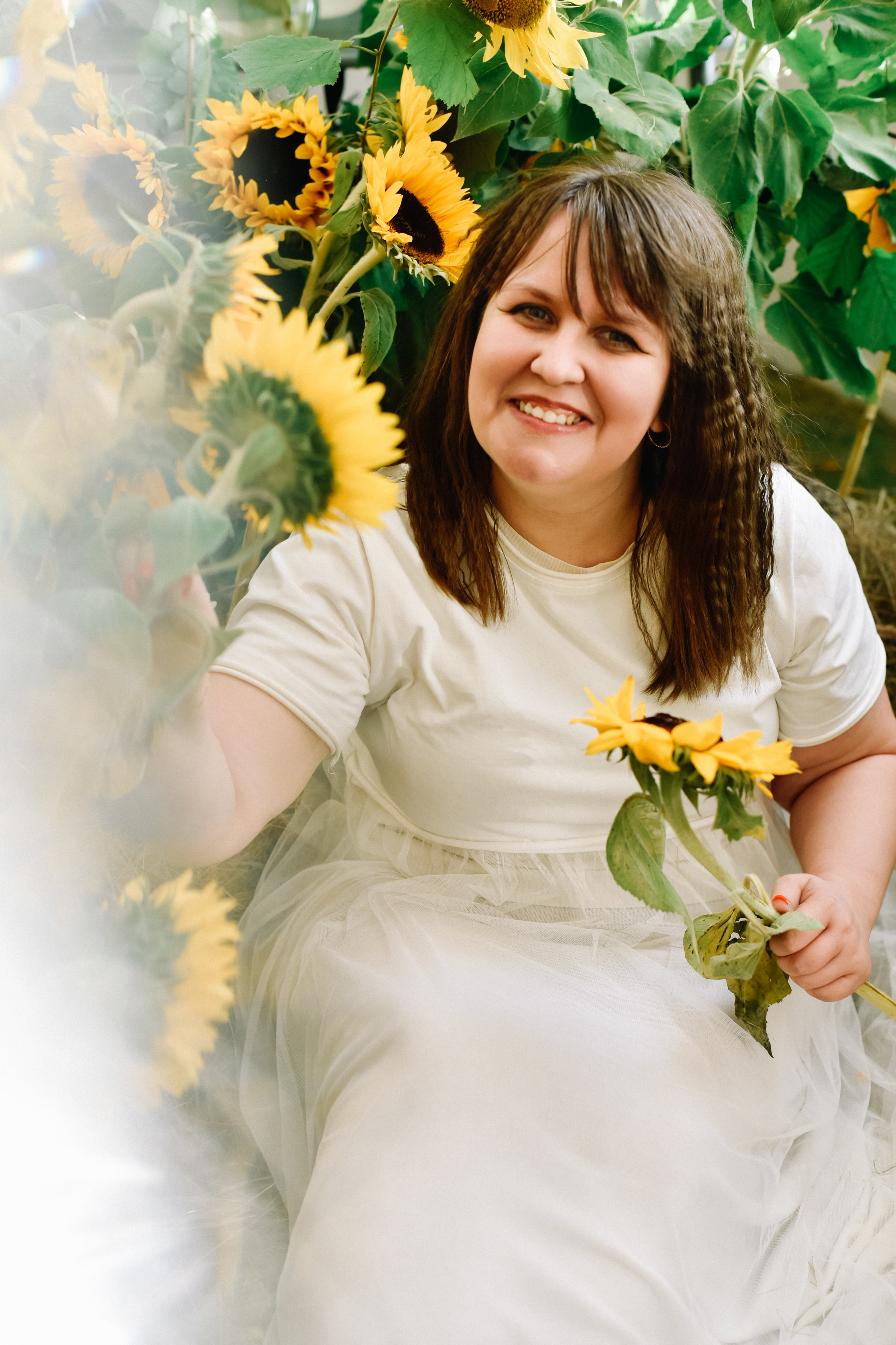 Анна подсолнухи