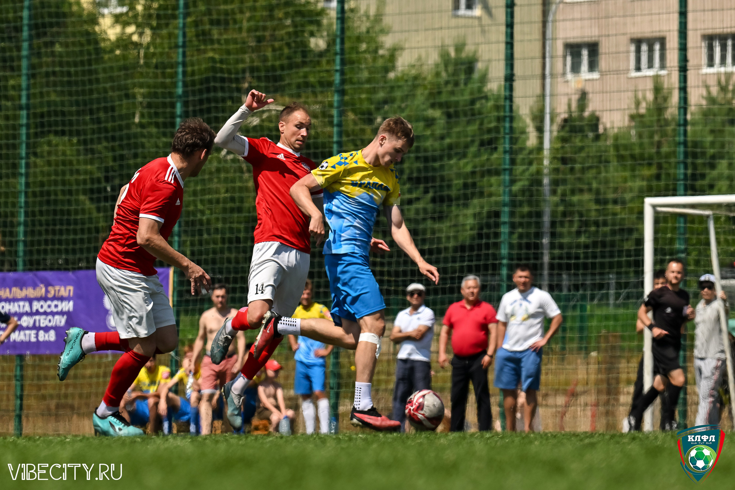 Чемпионат России по мини-футболу. VIBECITY.RU Вайб Сити Ру Фоторепортажи Фотоотчеты Калининград