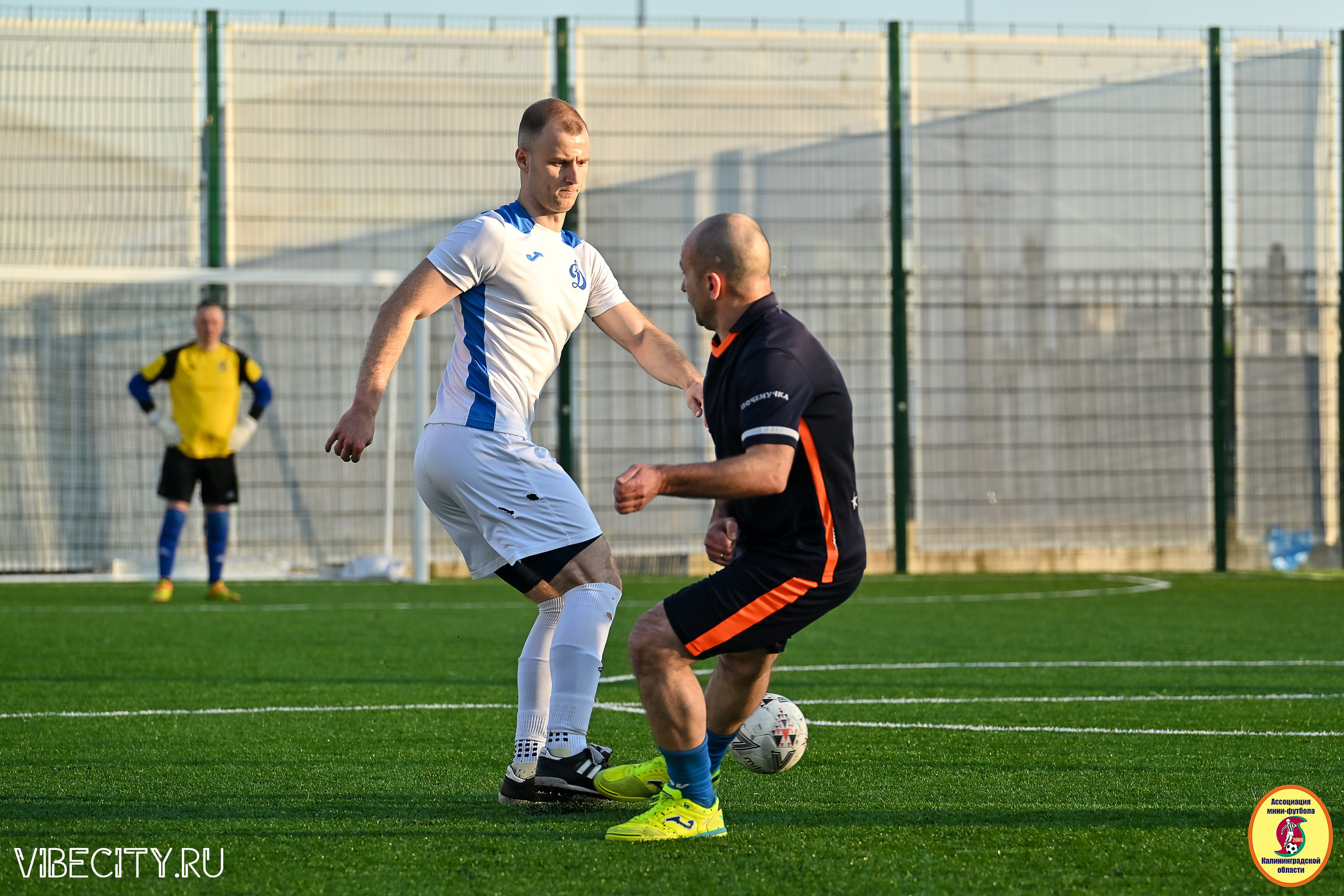 ИГРЫ МИНИ-ФУТБОЛЬНОЙ И КОРПОРАТИВНОЙ ЛИГИ. VIBECITY.RU Вайб Сити Ру Фоторепортажи Фотоотчеты Калининград