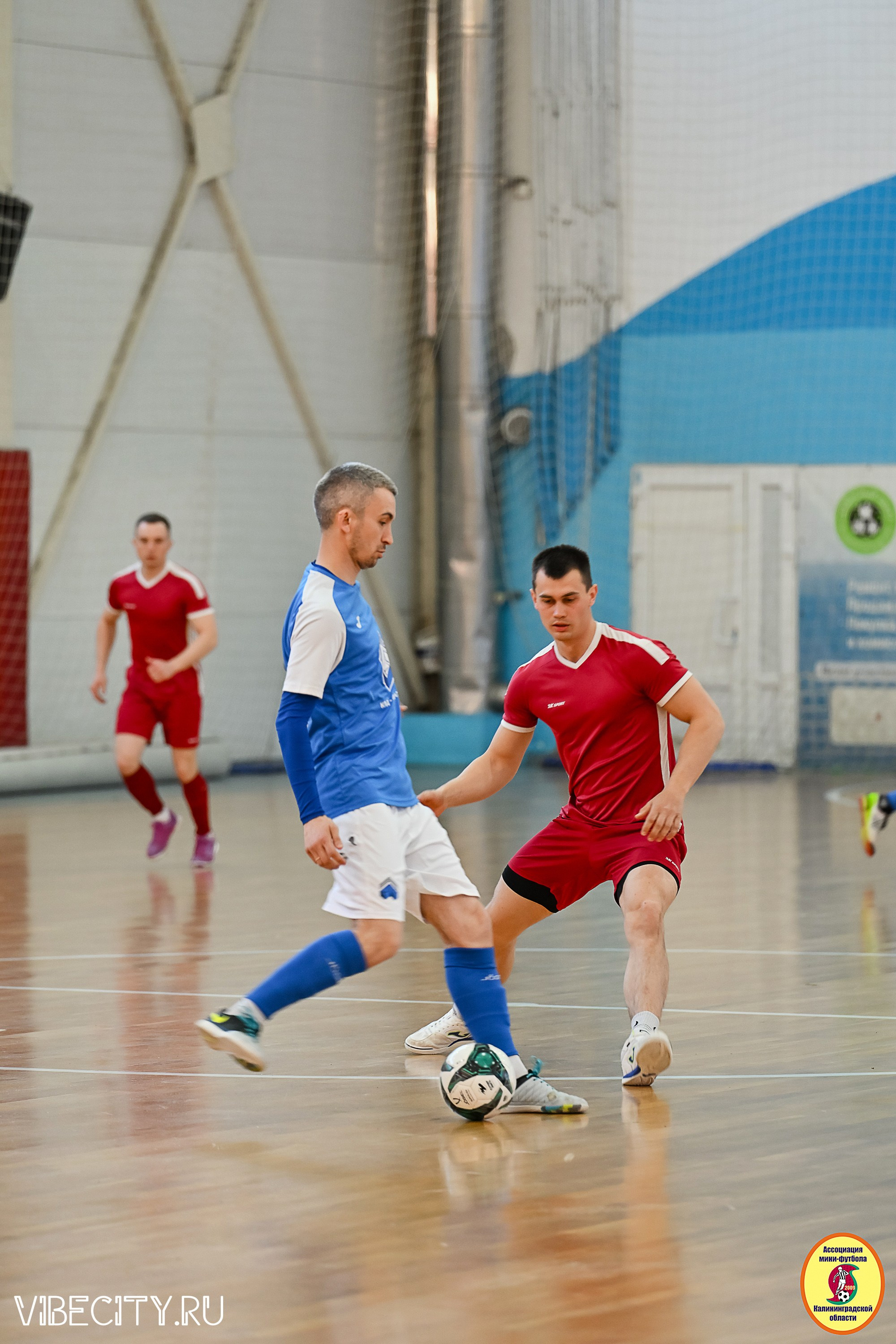 МФЛ СанТермо. VIBECITY.RU Вайб Сити Ру Фоторепортажи Фотоотчеты Калининград