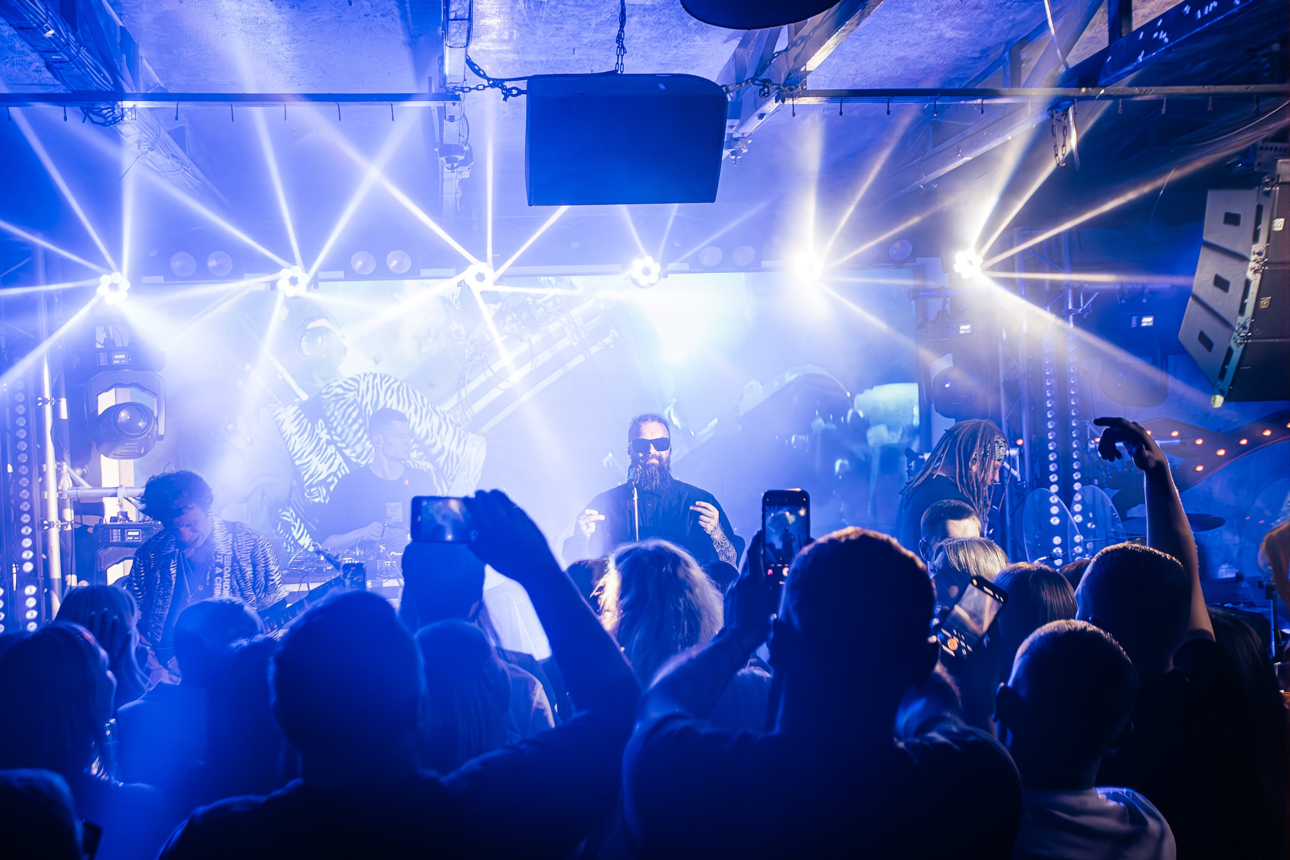 Бурито_Чайка_на_пляже_Ялта 23.08.2024. Аминов Руслан | Фотограф